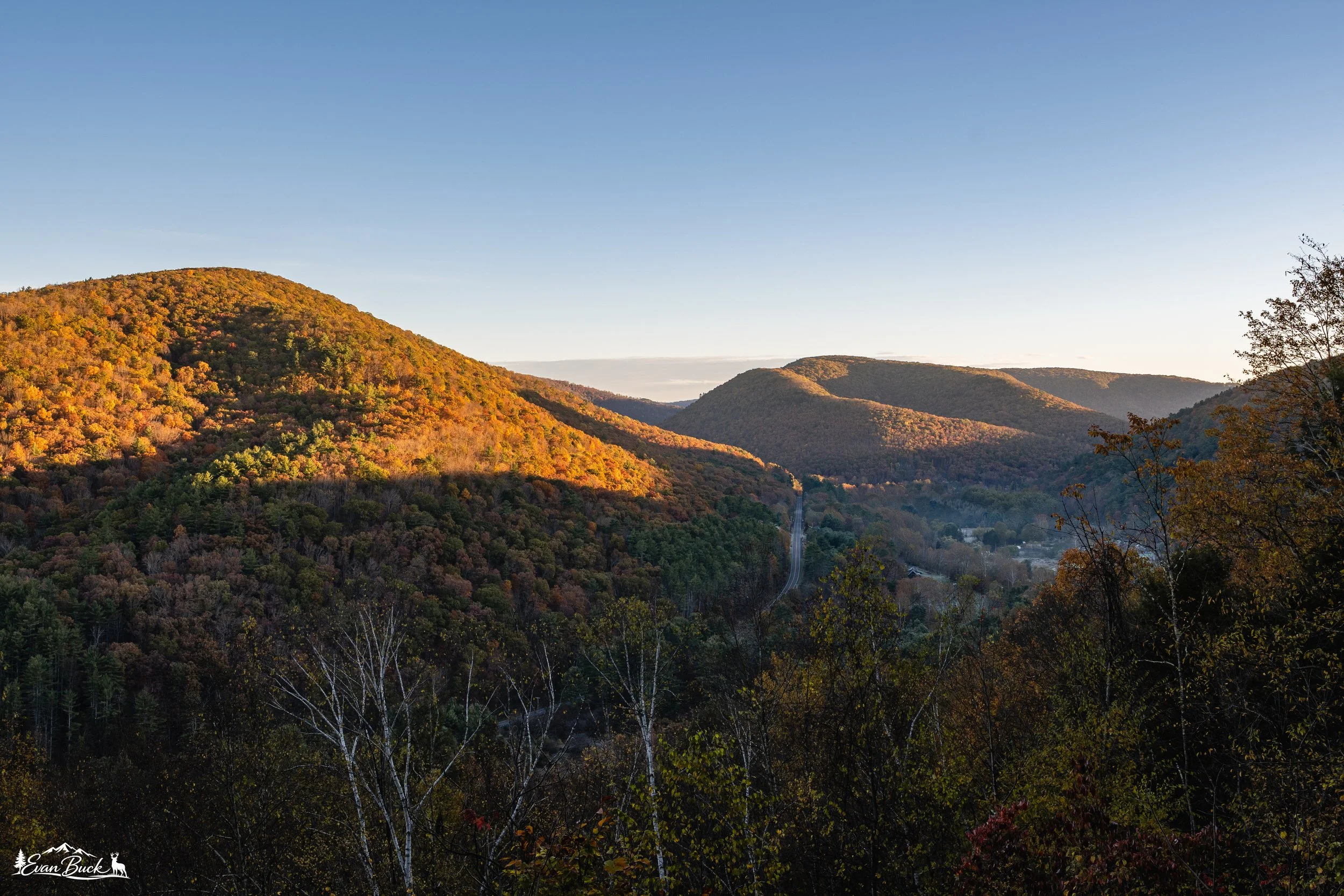 Scenic view of rolling mountains covered with autumn-colored trees under a clear sky.