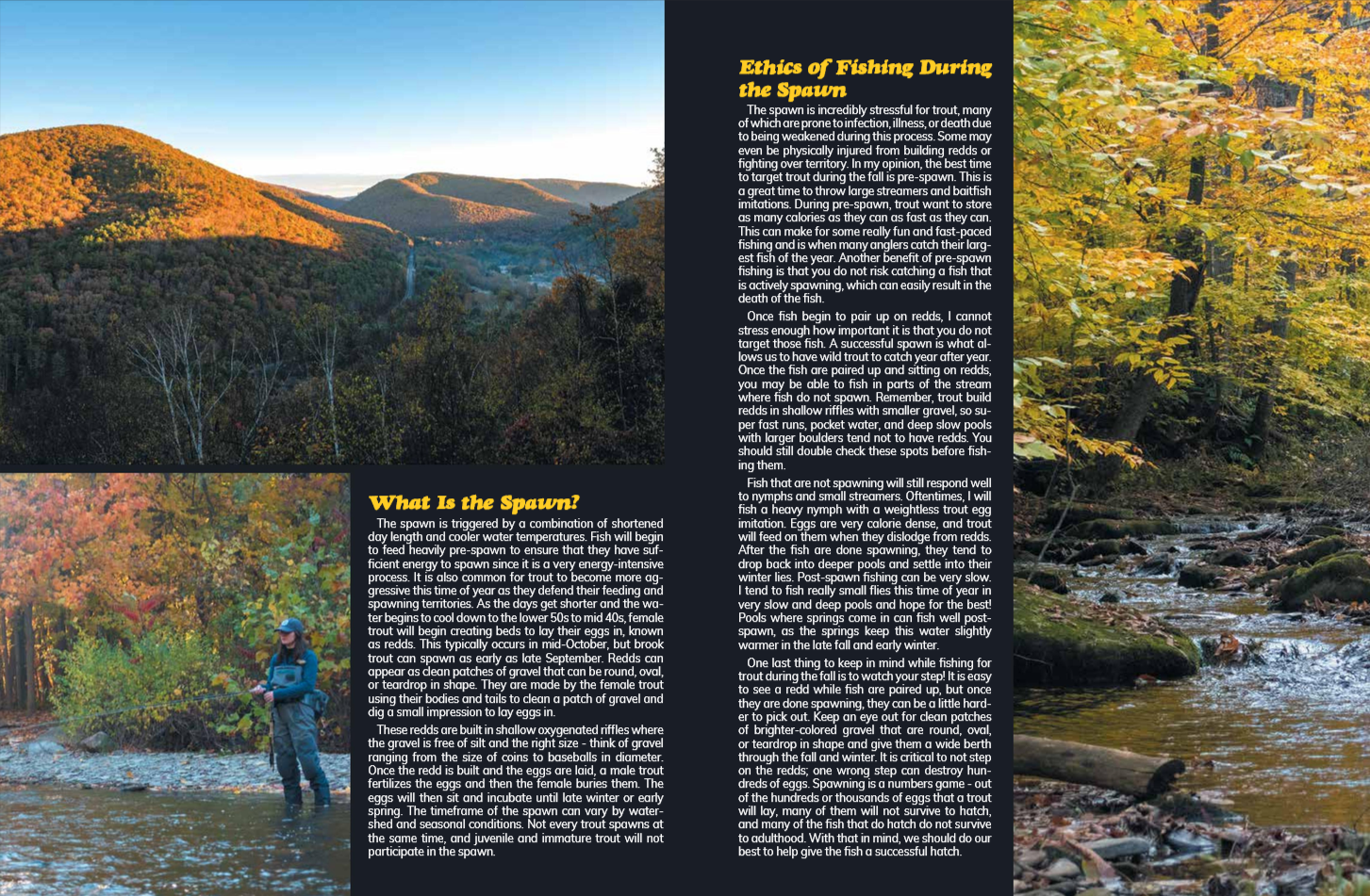 An informational poster about fishing ethics during spawning season, with text and a background image of a forested, mountainous landscape and a river, some trees with autumn leaves, and a person fishing in the river.
