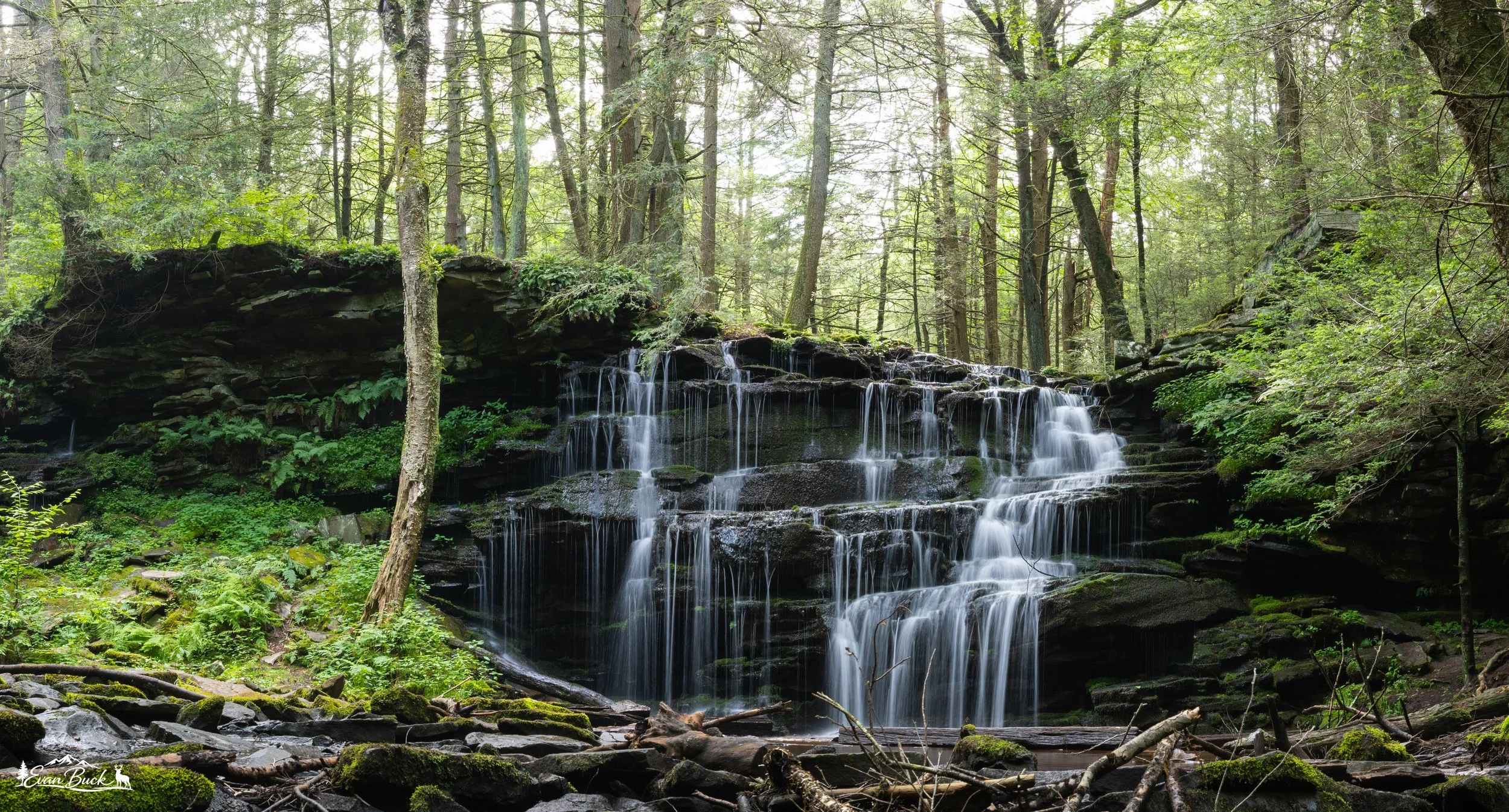 DSC_4234-Pano.jpg