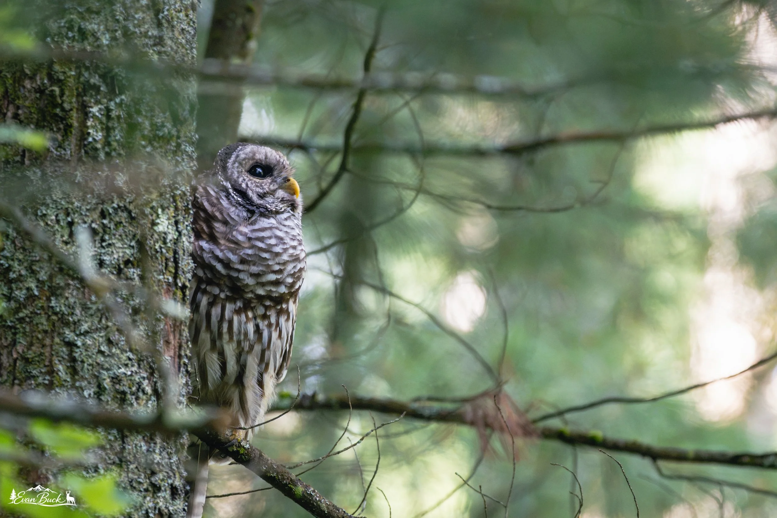 DSC_4873.jpg
