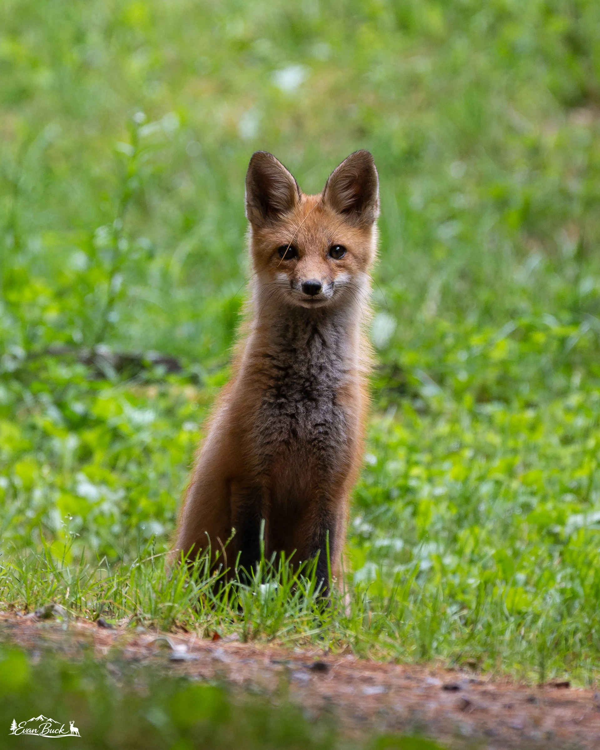 DSC_0736.jpg