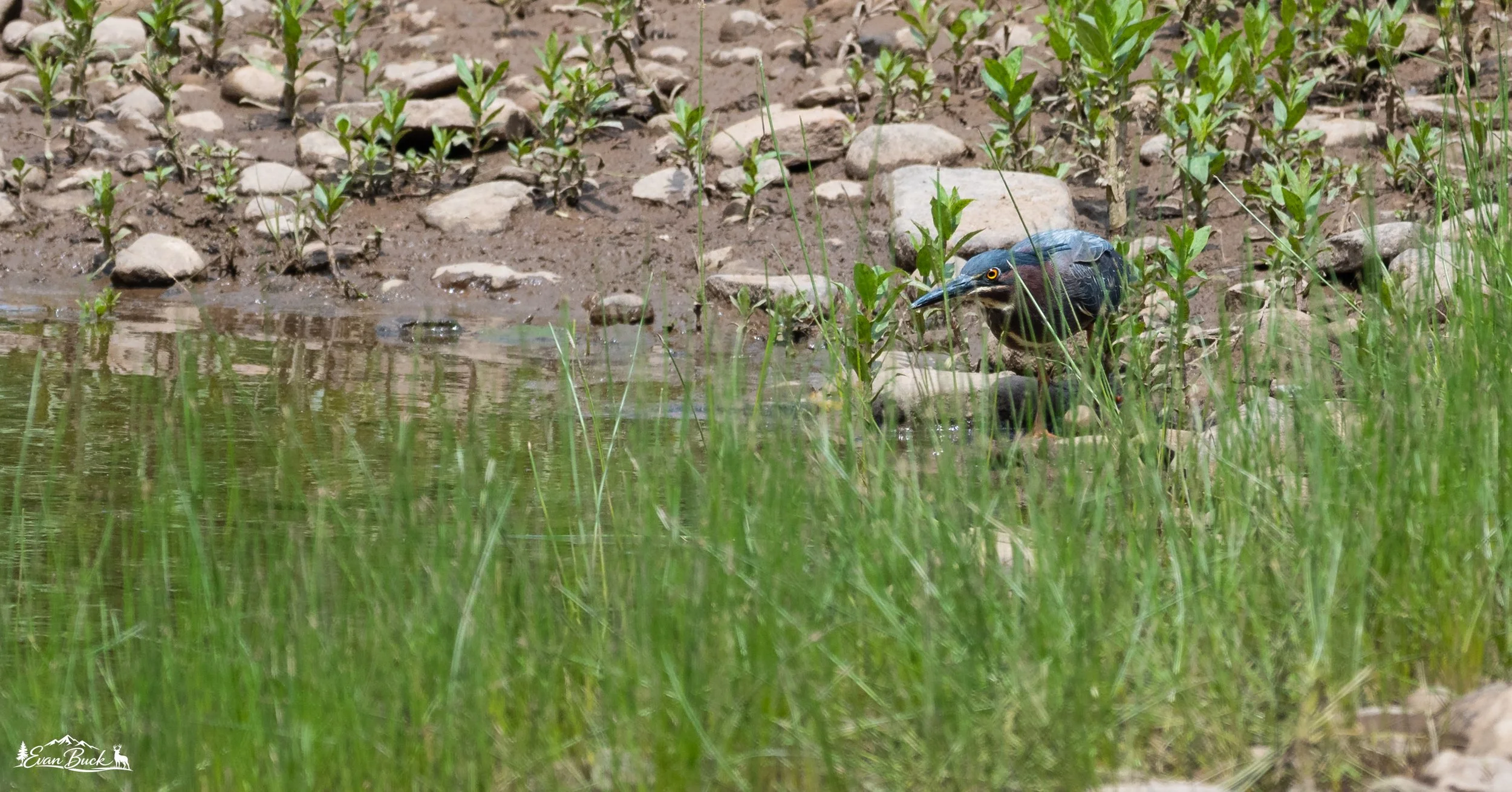 DSC_4028.jpg