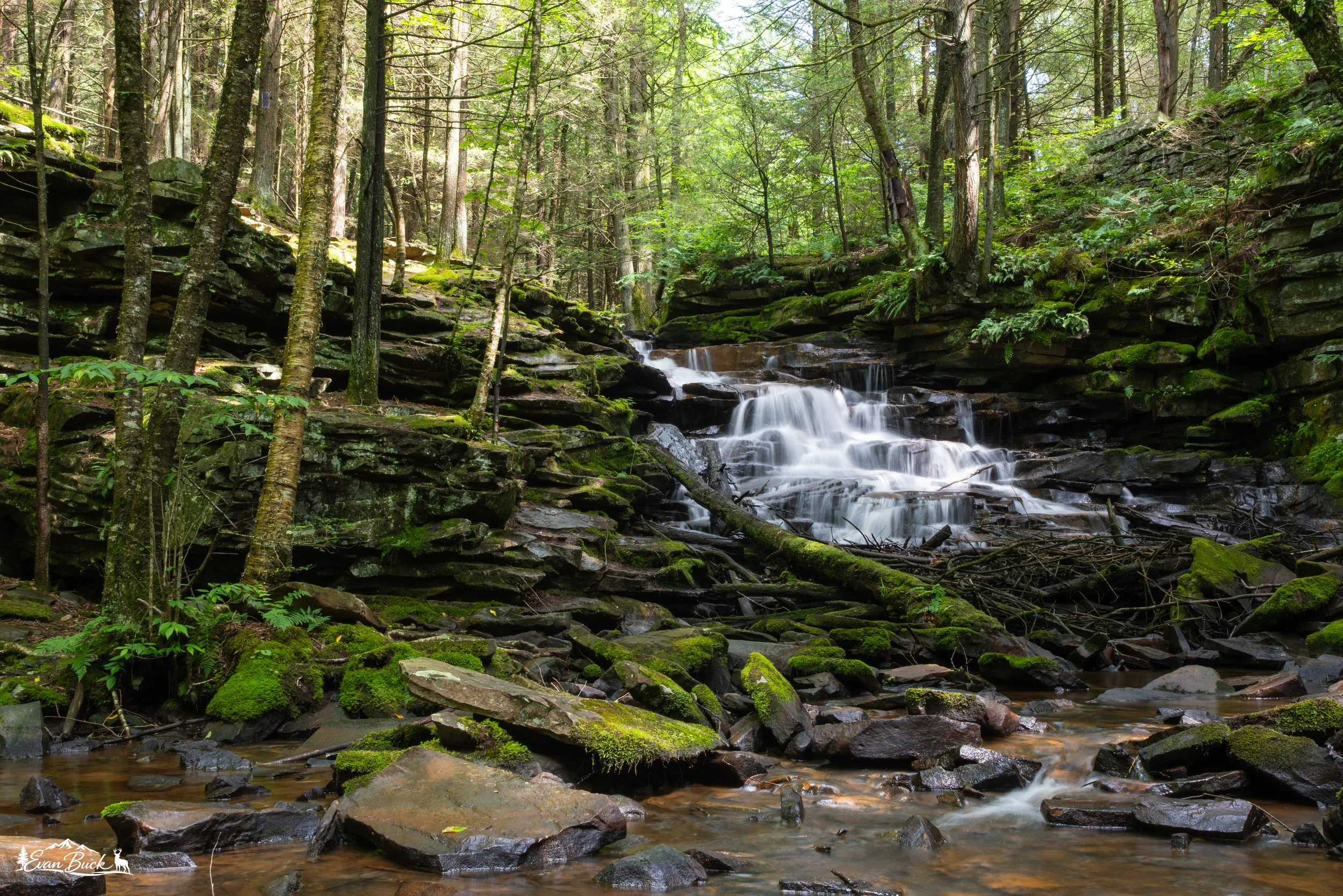 DSC_4240.jpg