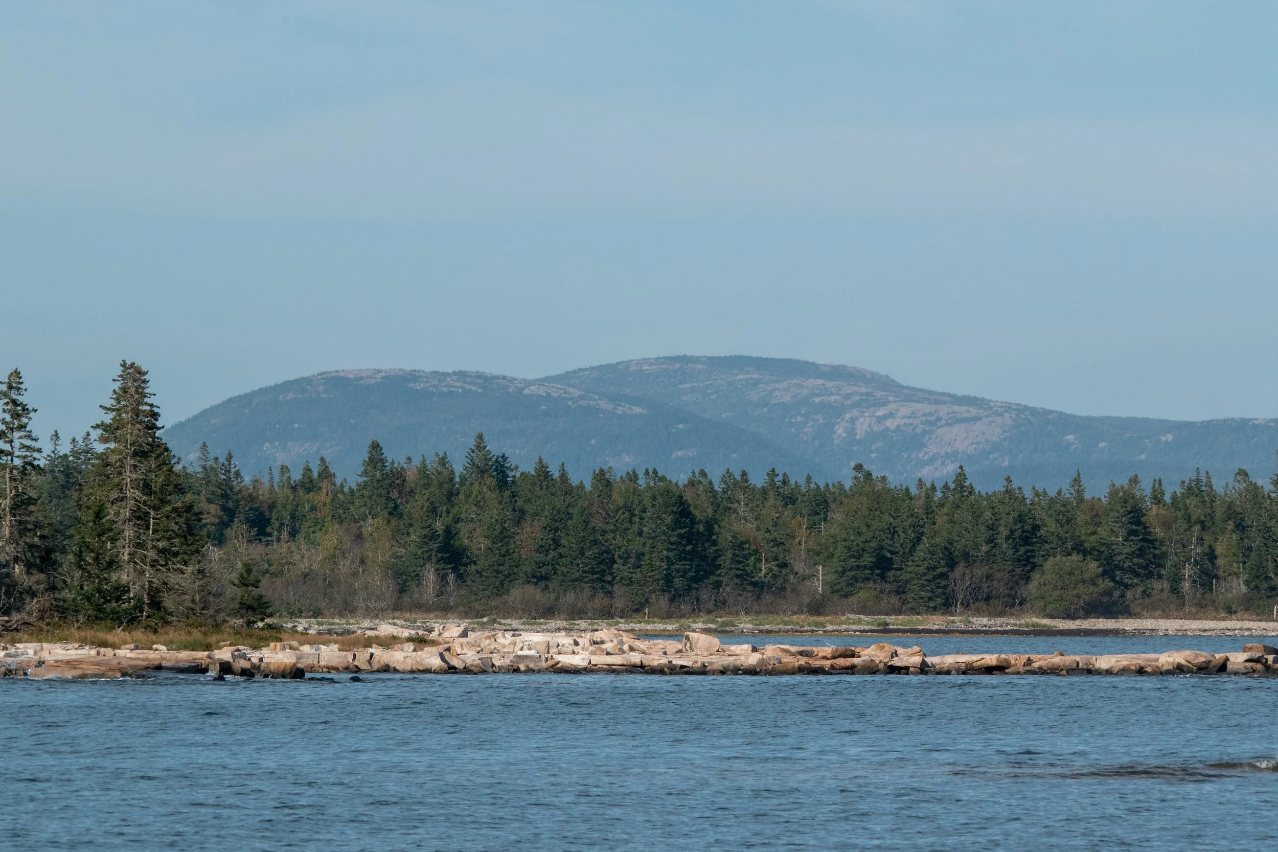 View of a calm body of water with rocks along the shoreline, a dense pine forest in the background, and mountains in the distance under a clear blue sky.