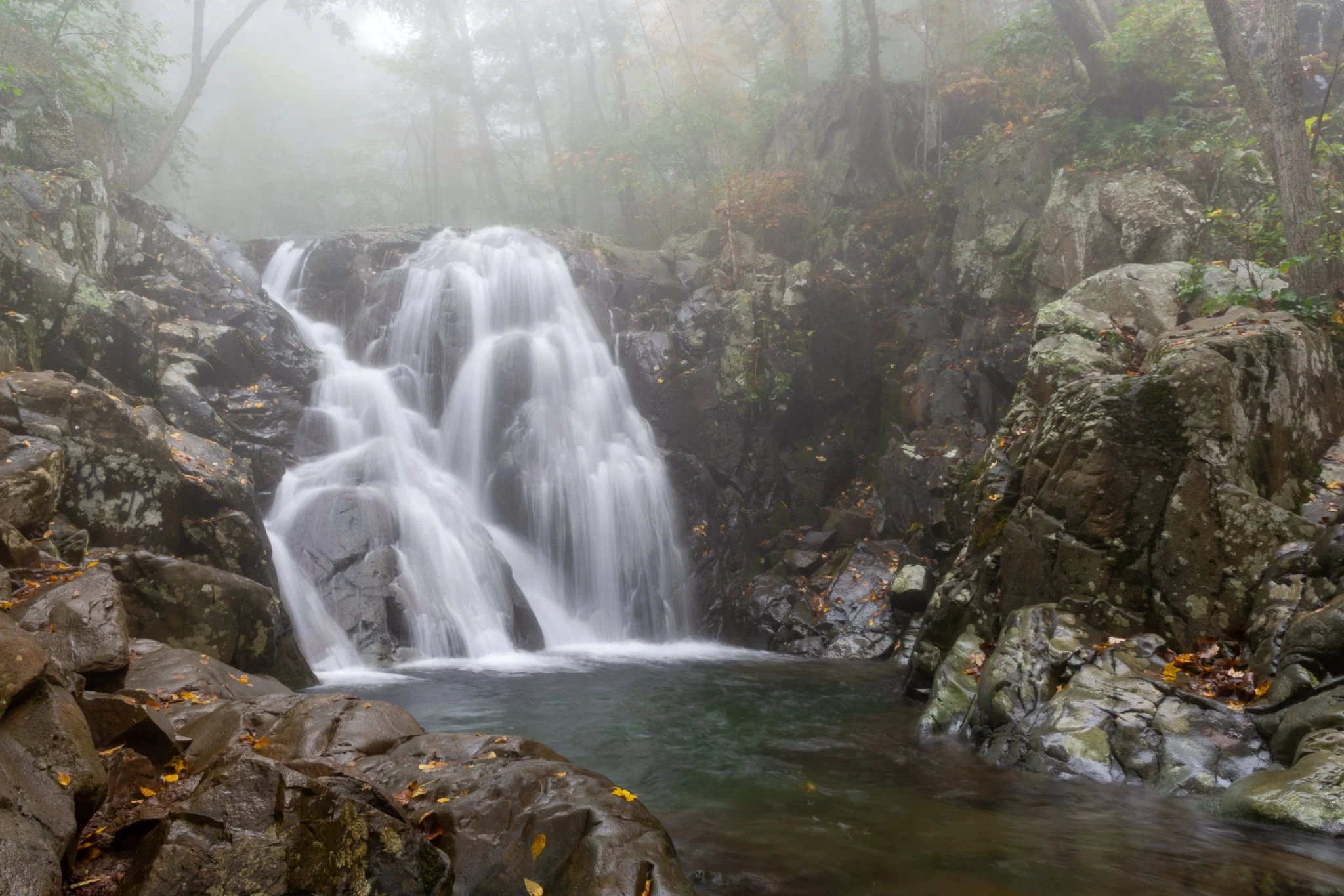A small waterfall cascading down rocks into a pool surrounded by mossy boulders in a foggy, wooded area with trees and fallen leaves.