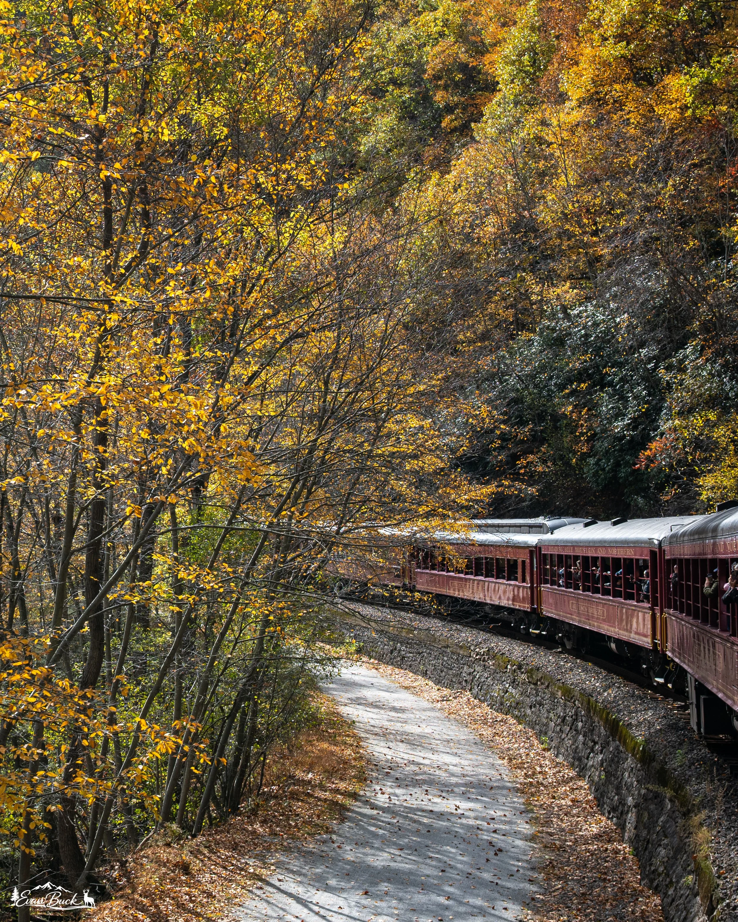 A red vintage train traveling along a curved track through a forest in autumn with yellow and orange leaves, some fallen on the ground and track.
