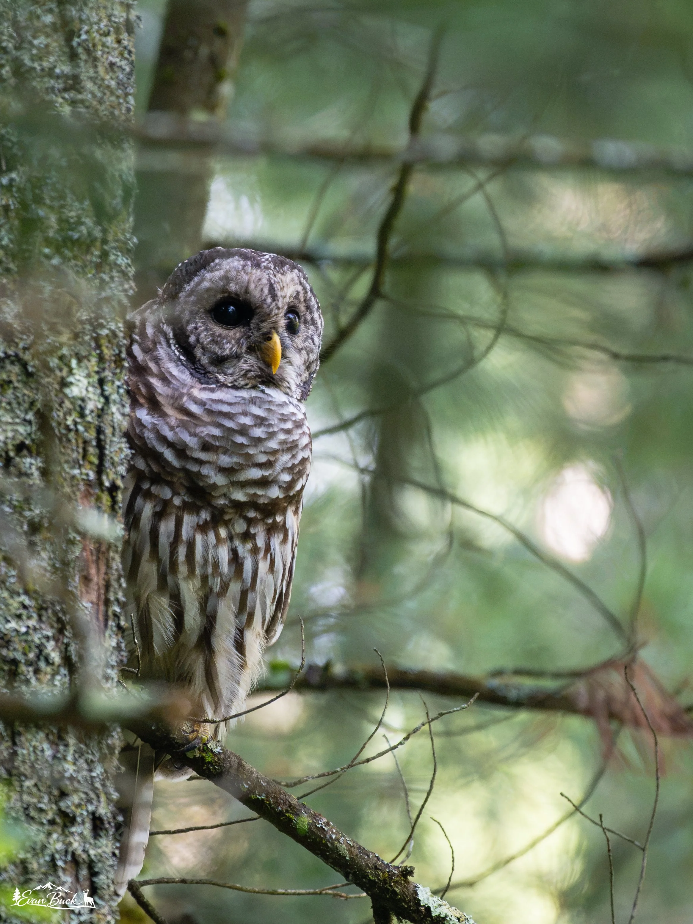 DSC_4874.jpg
