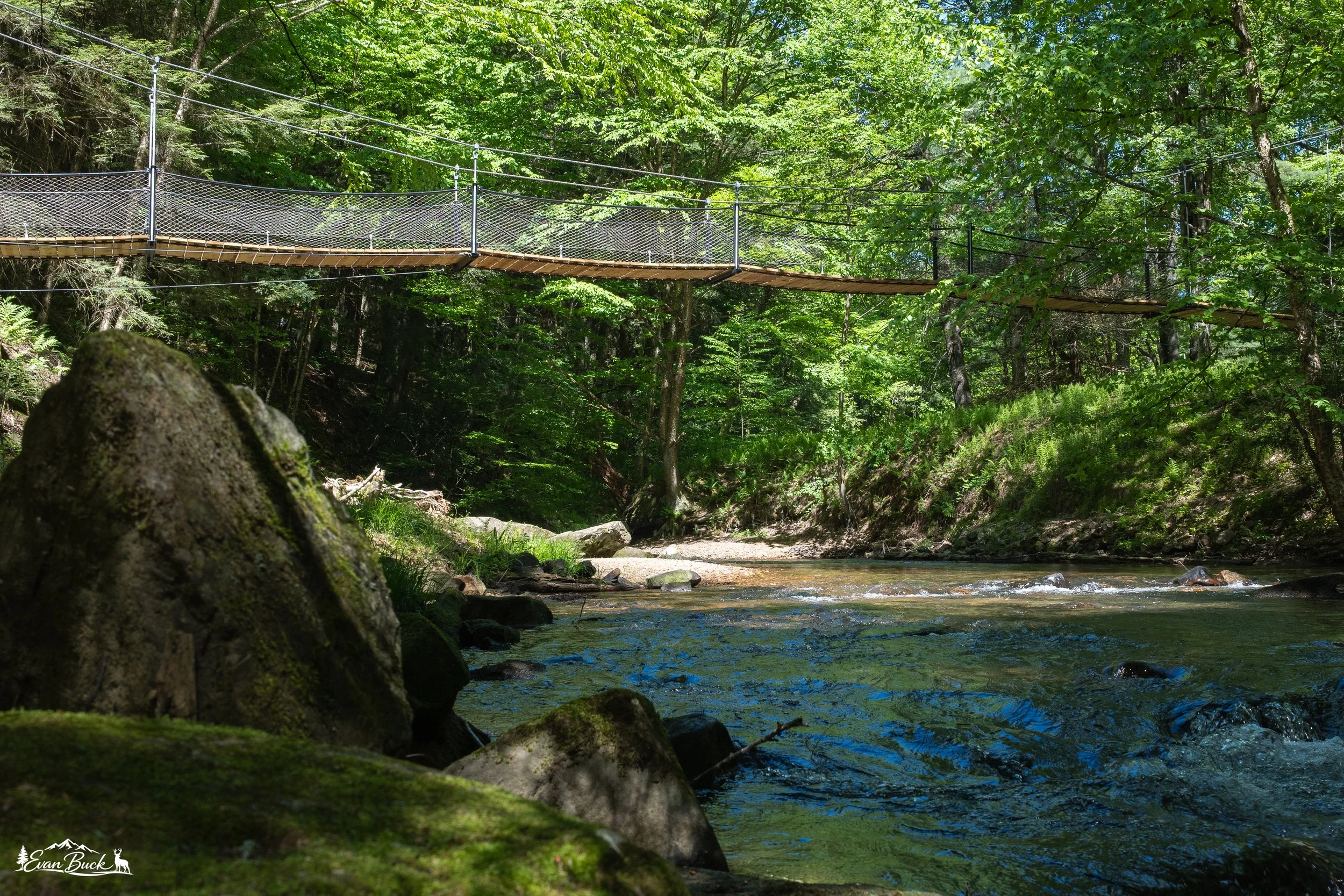 A wooden suspension bridge with metal railings crossing over a small stream in a lush green forest.