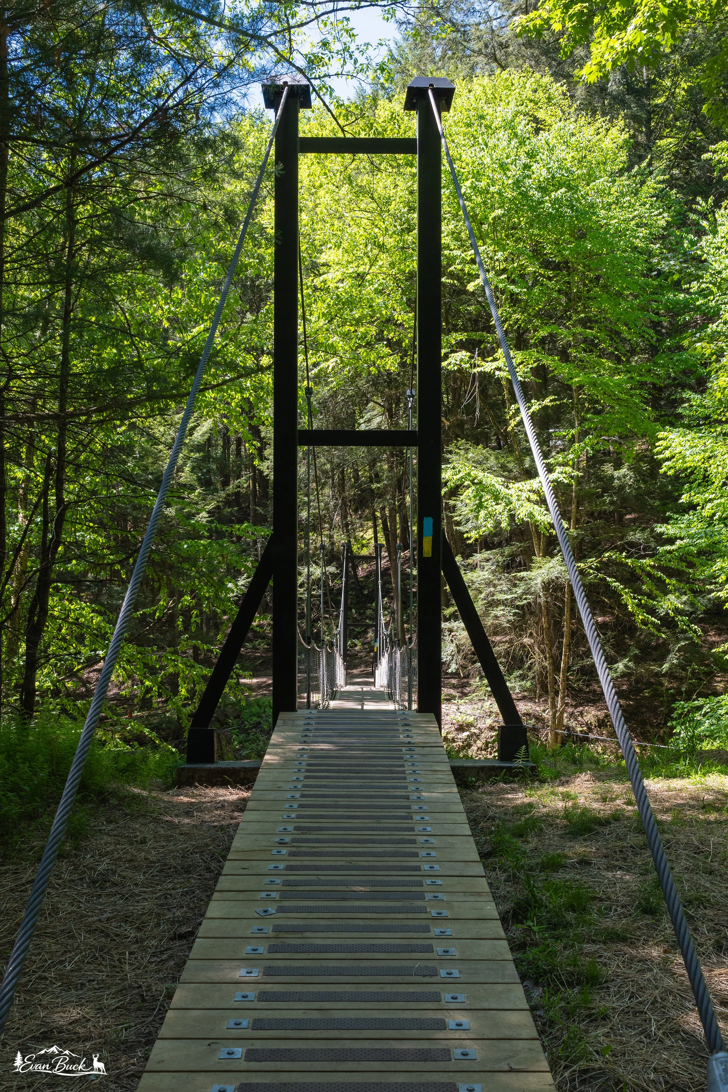 A wooden suspension bridge crossing through a dense, green forest under a blue sky with sunlight filtering through the leaves.