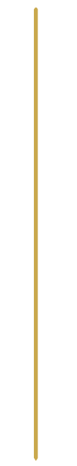 A single gold-colored matchstick standing upright on a black background.