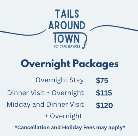 Overnight Stays