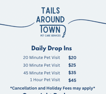 Daily Drop ins