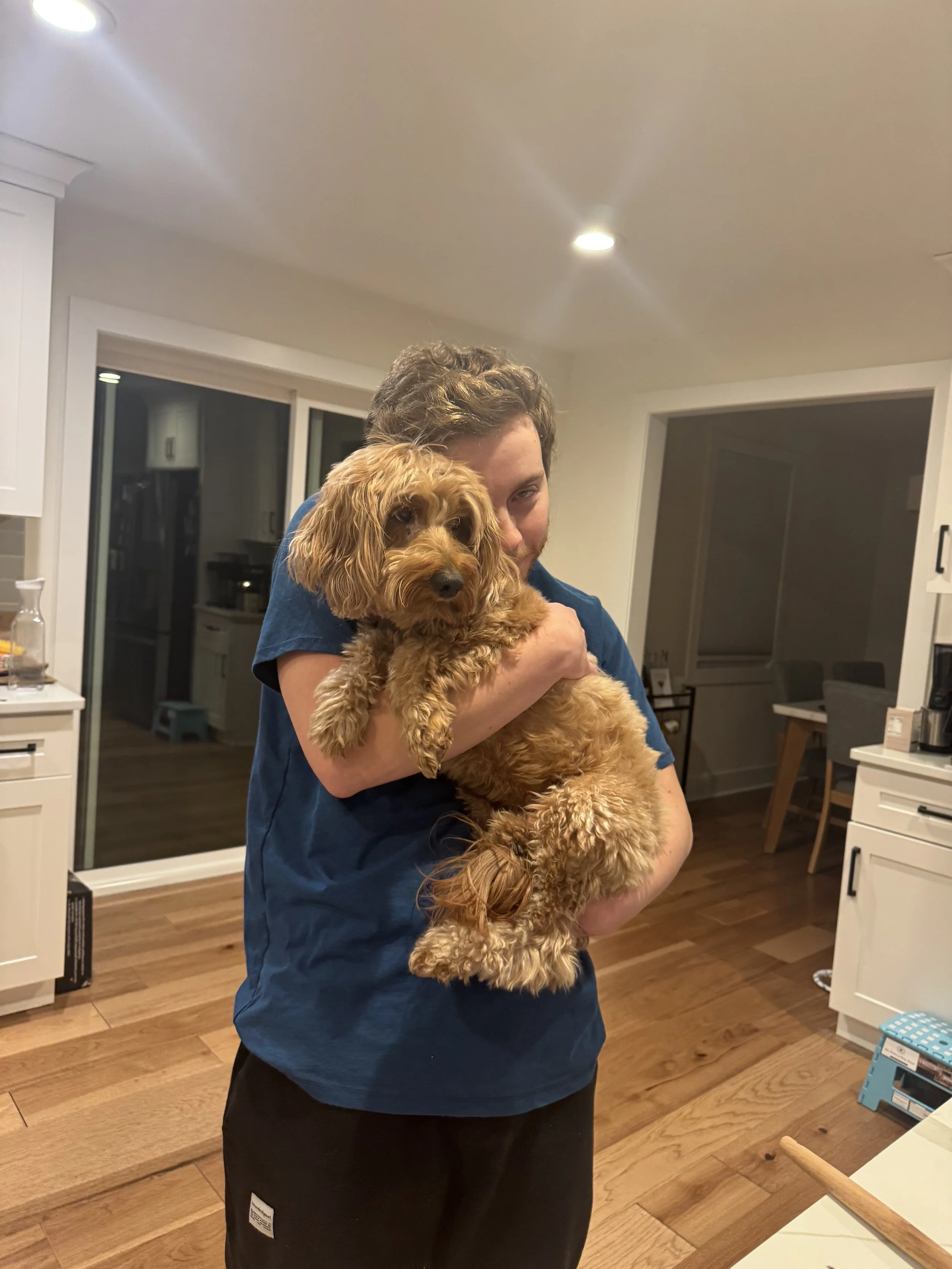 A young man holding a brown, curly-haired dog inside a modern kitchen at night.