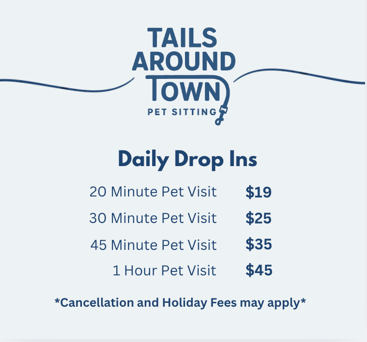Daily Drop ins