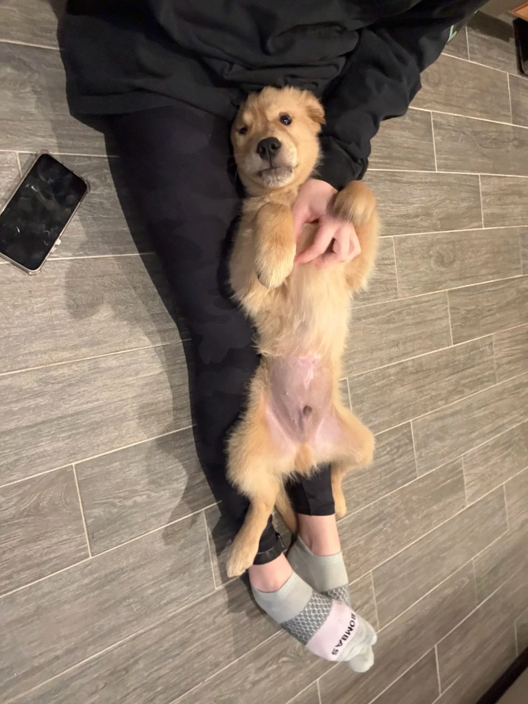 Person lying on their back on a gray tiled floor, wearing black pants and gray socks, holding a small, tan puppy with a black nose and dark eyes, who is lying on its back with paws up, facing the camera.