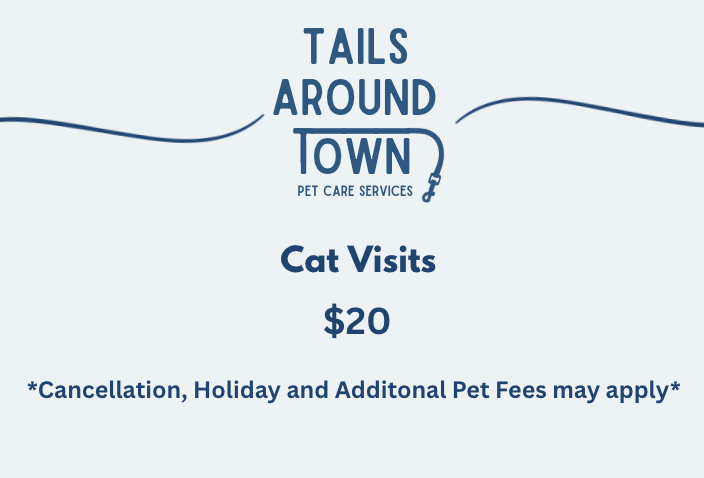 Cat Care Visits