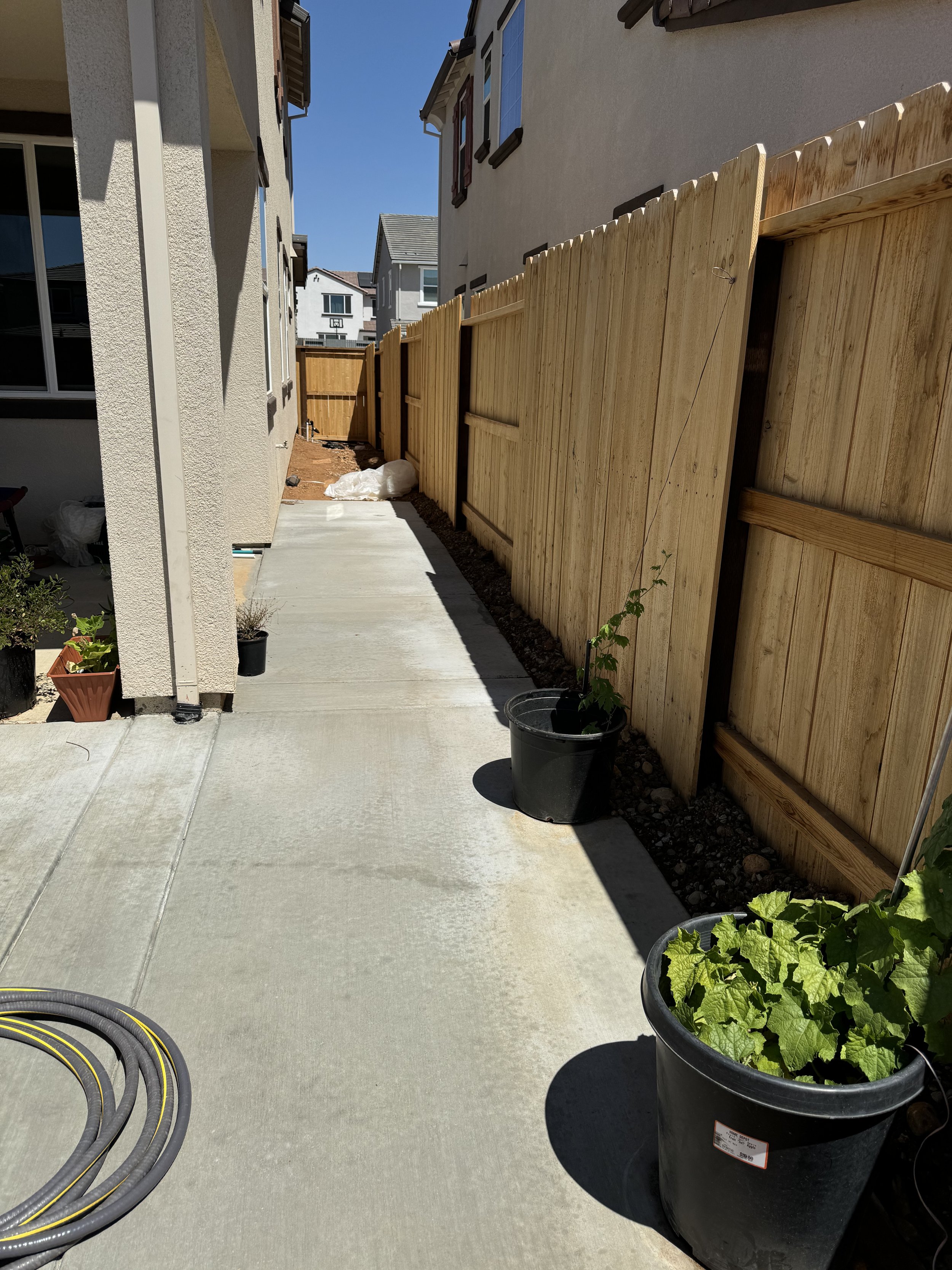 A backyard with a concrete pathway, potted plants along the side, and a wooden fence on the right, with neighboring houses visible in the background.