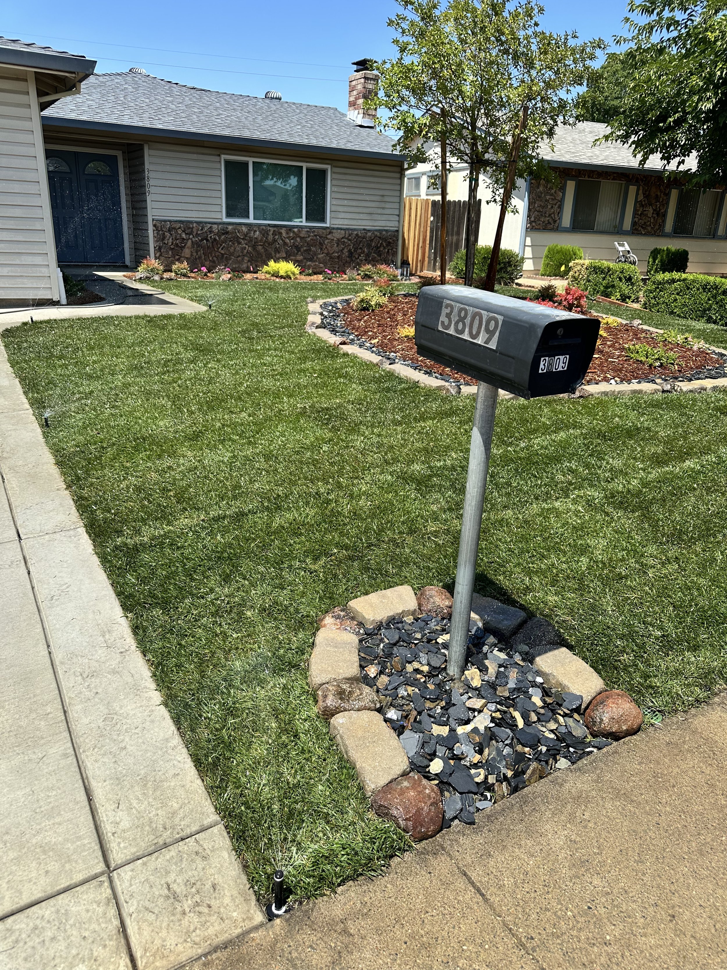 Front yard with green lawn, flower bed with plants and small bushes, house with vinyl siding and stone accents, and mailbox numbered 3809.