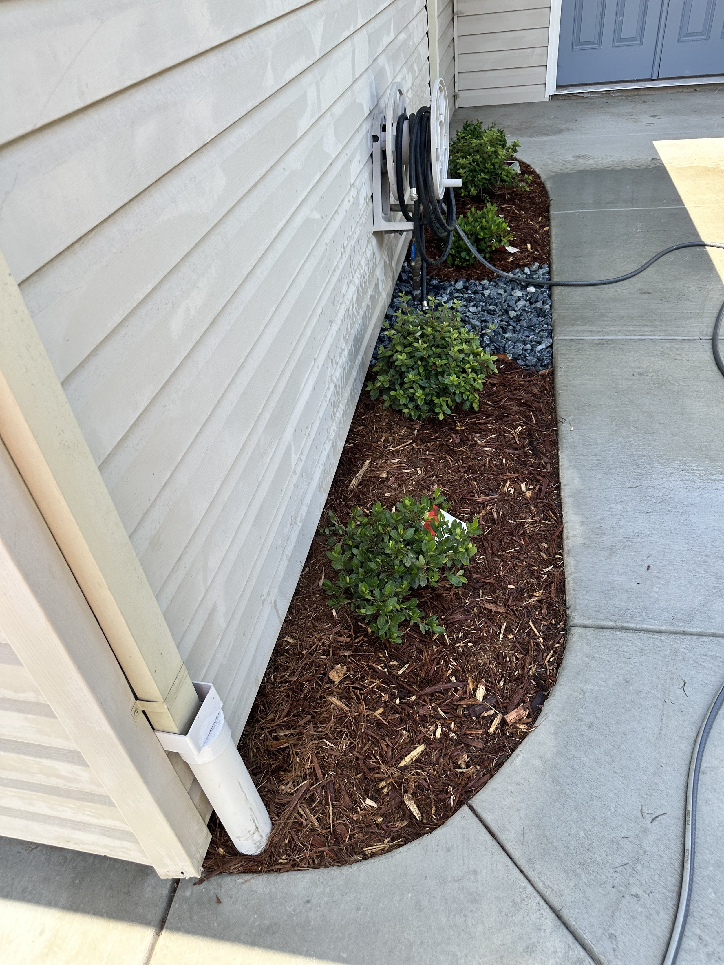 Landscape edging with shrubs, mulch, a white gutter pipe, and a garden hose on a concrete patio beside a beige house.