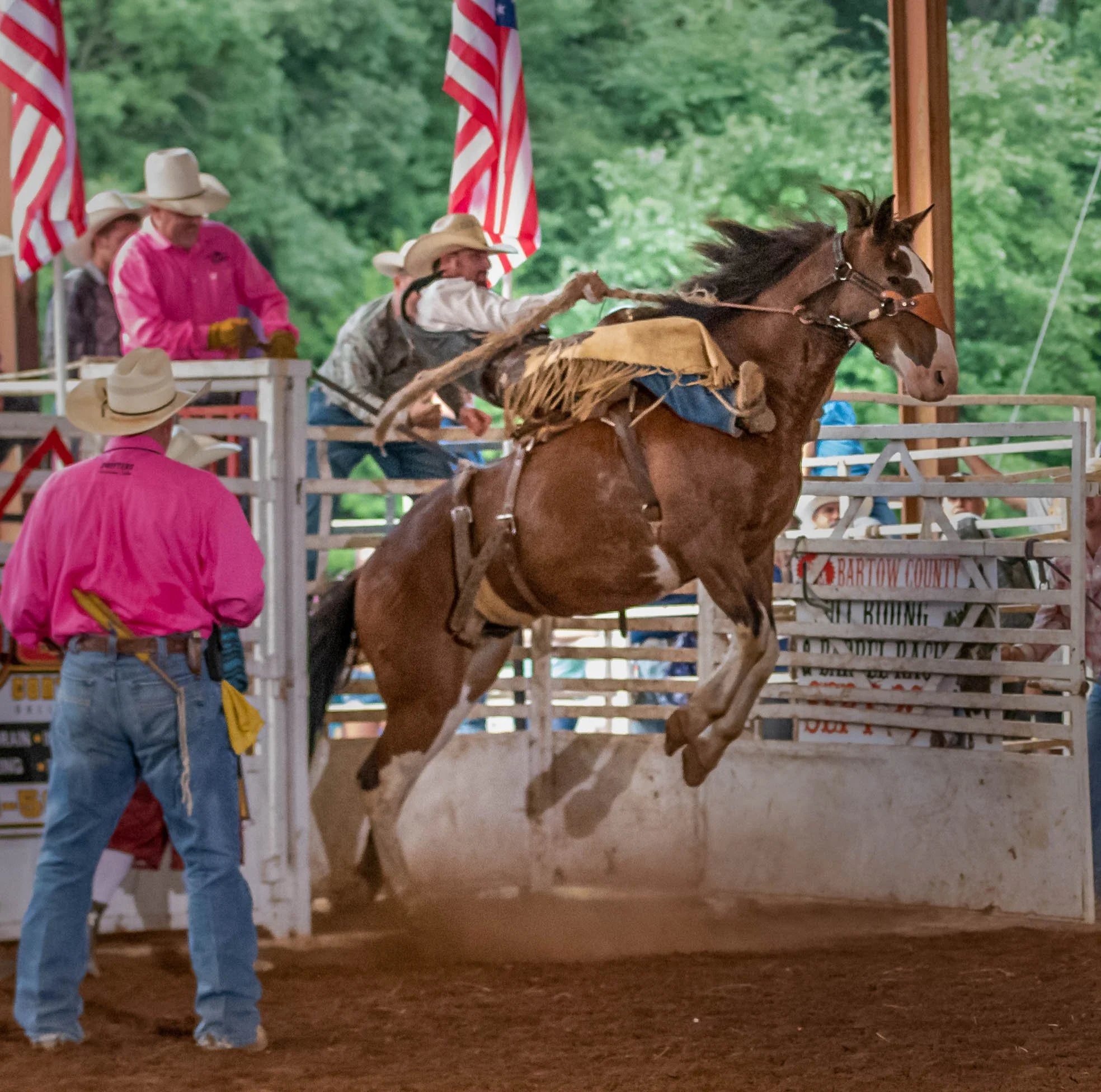 Bartow Championship Rodeo-Cartersville, GA