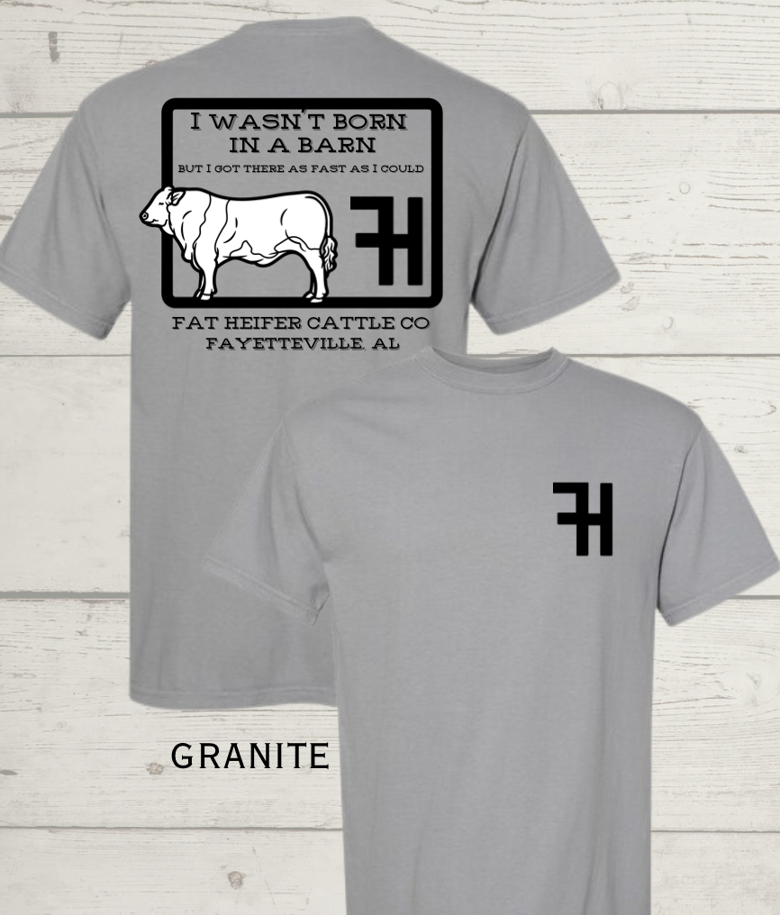 Screenshot 2026-03-12 at 8.24.15 PM.png