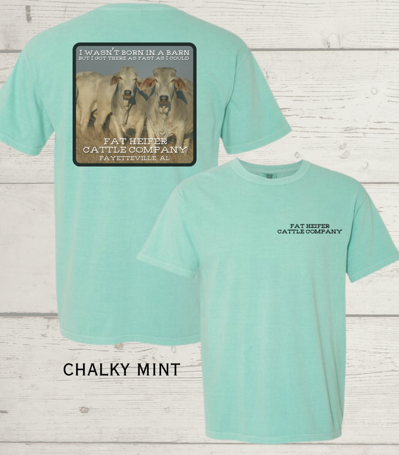 Screenshot 2026-03-12 at 8.25.00 PM.png