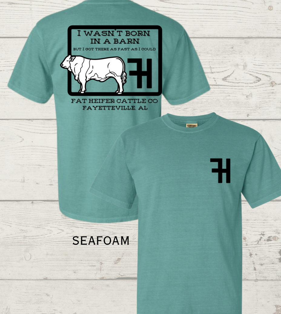 Screenshot 2026-03-12 at 8.24.35 PM.png