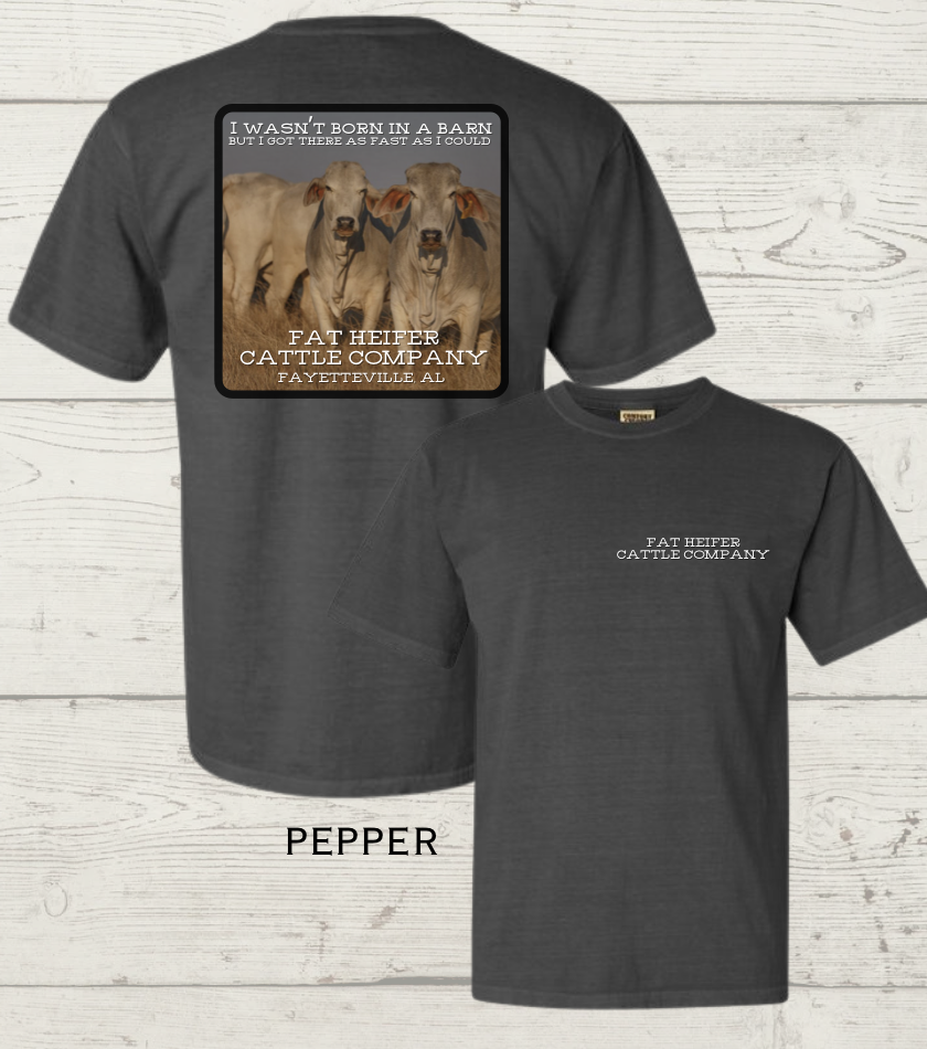 Screenshot 2026-03-12 at 8.25.26 PM.png