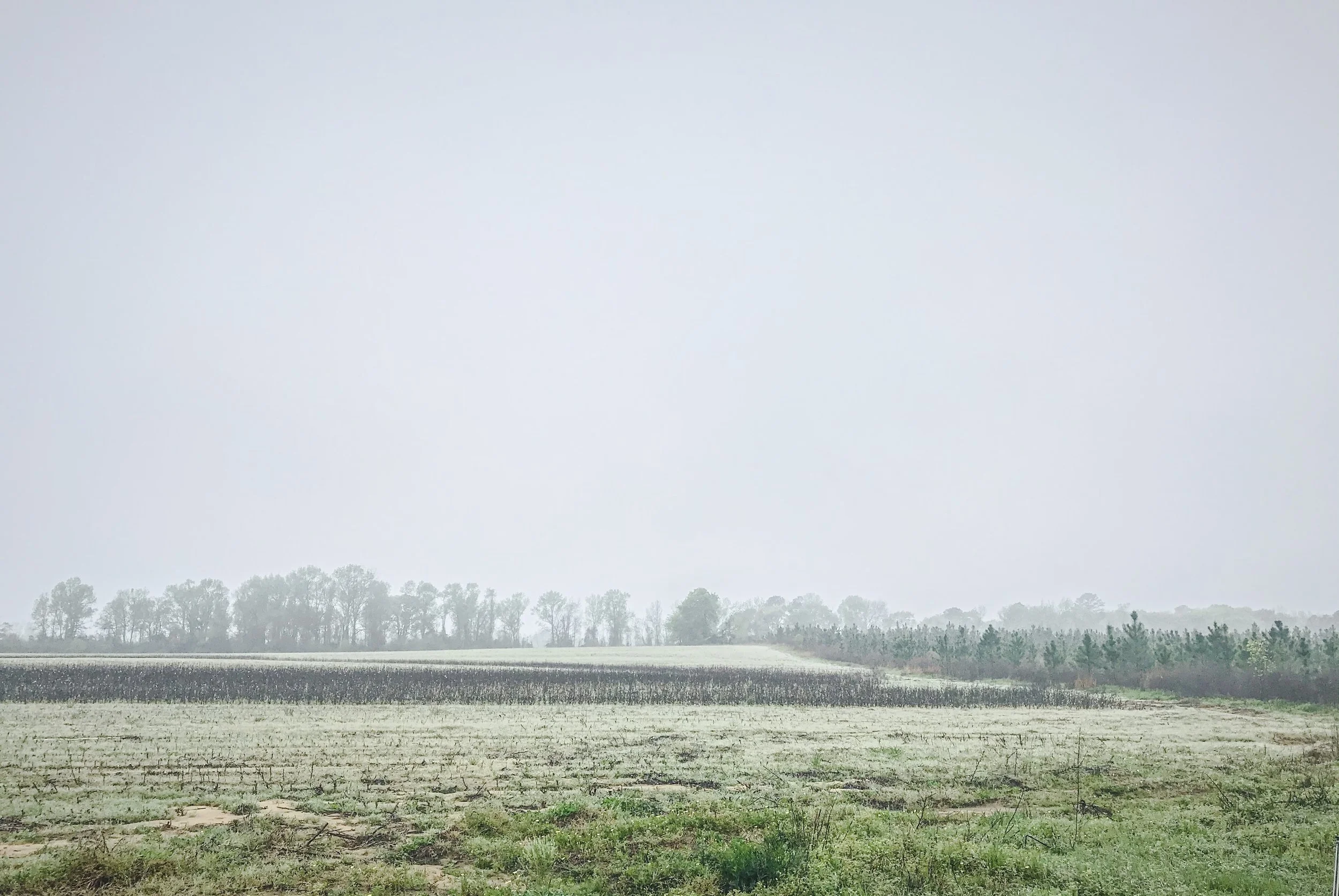 Overcast farmland with a cleared field, some crops, and trees in the distance under a gray sky.