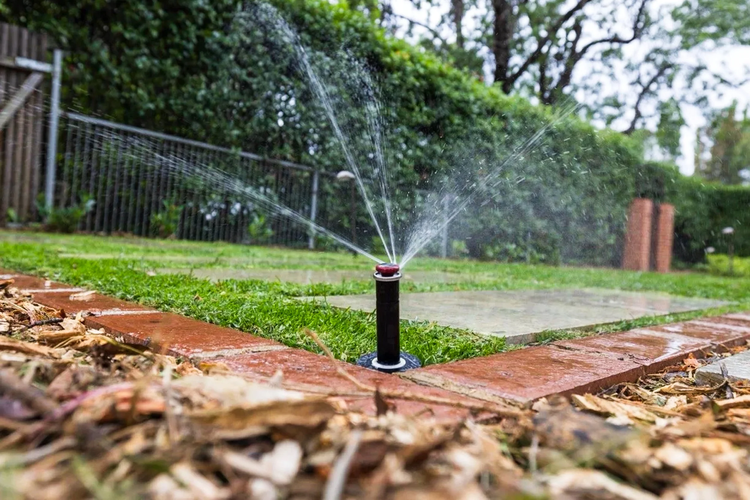 Irrigation system active and watering the lawn and plants