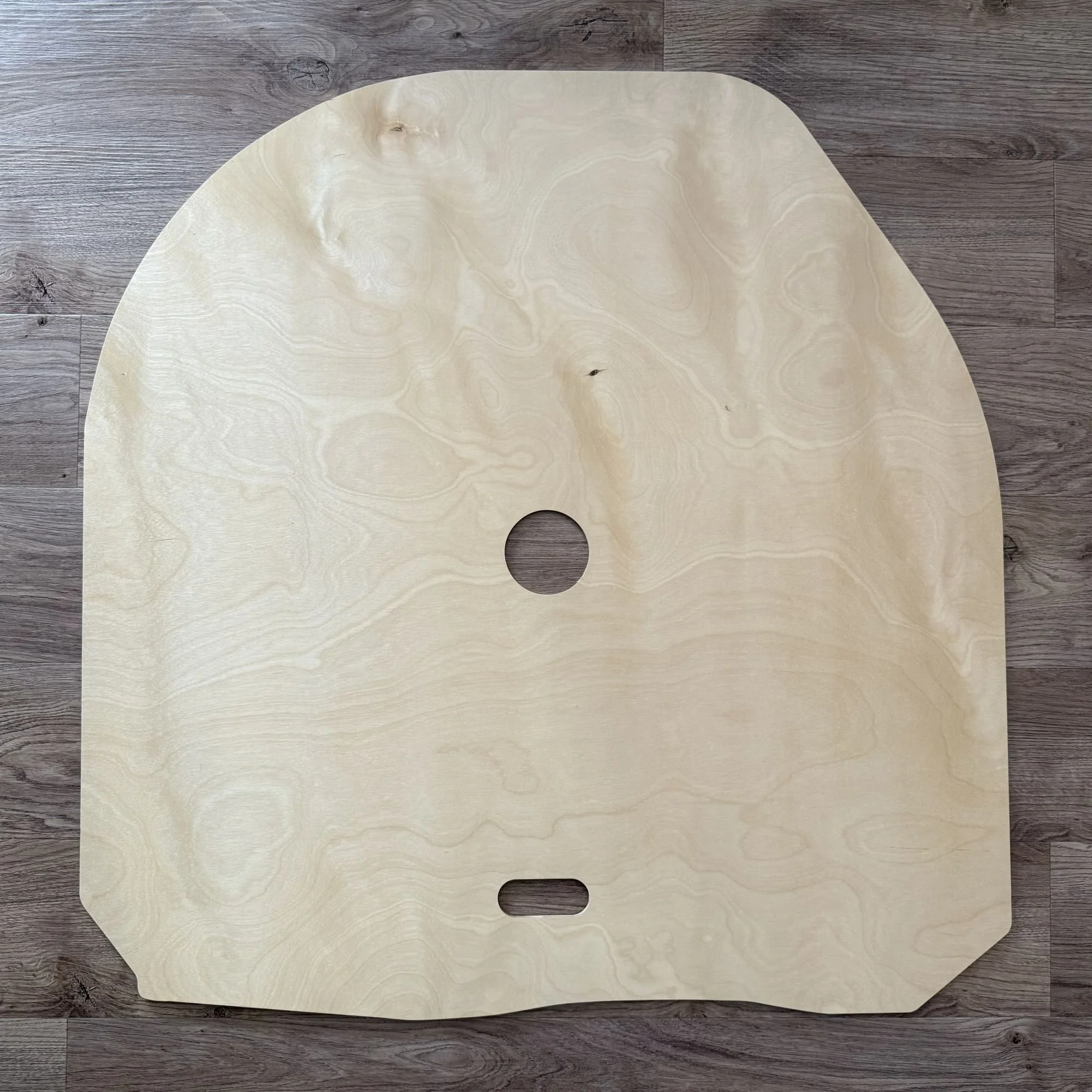 Toyota Camry 1997-2001 Trunk Floor Board Spare Tire Cover