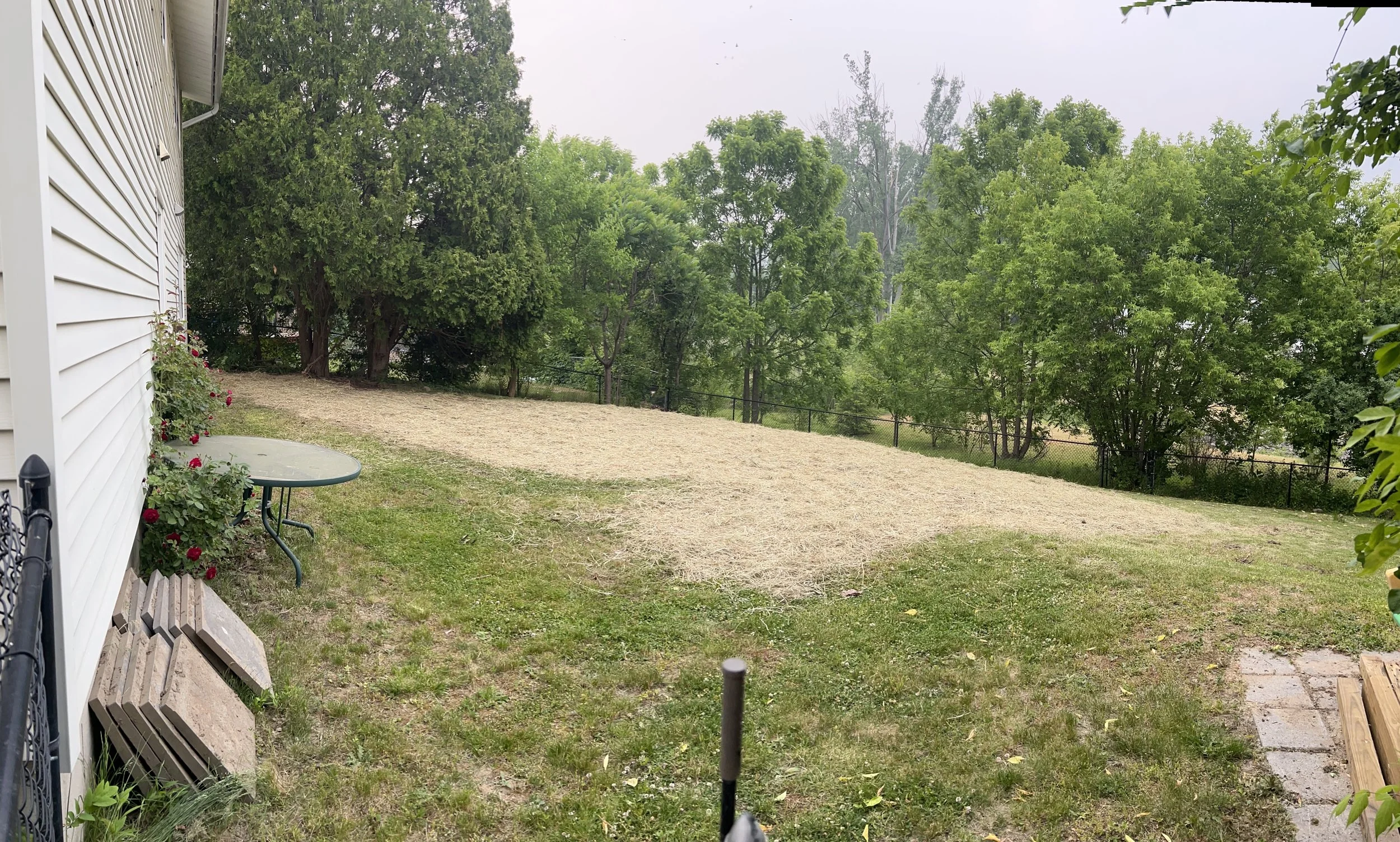 IMG_1641.jpeg