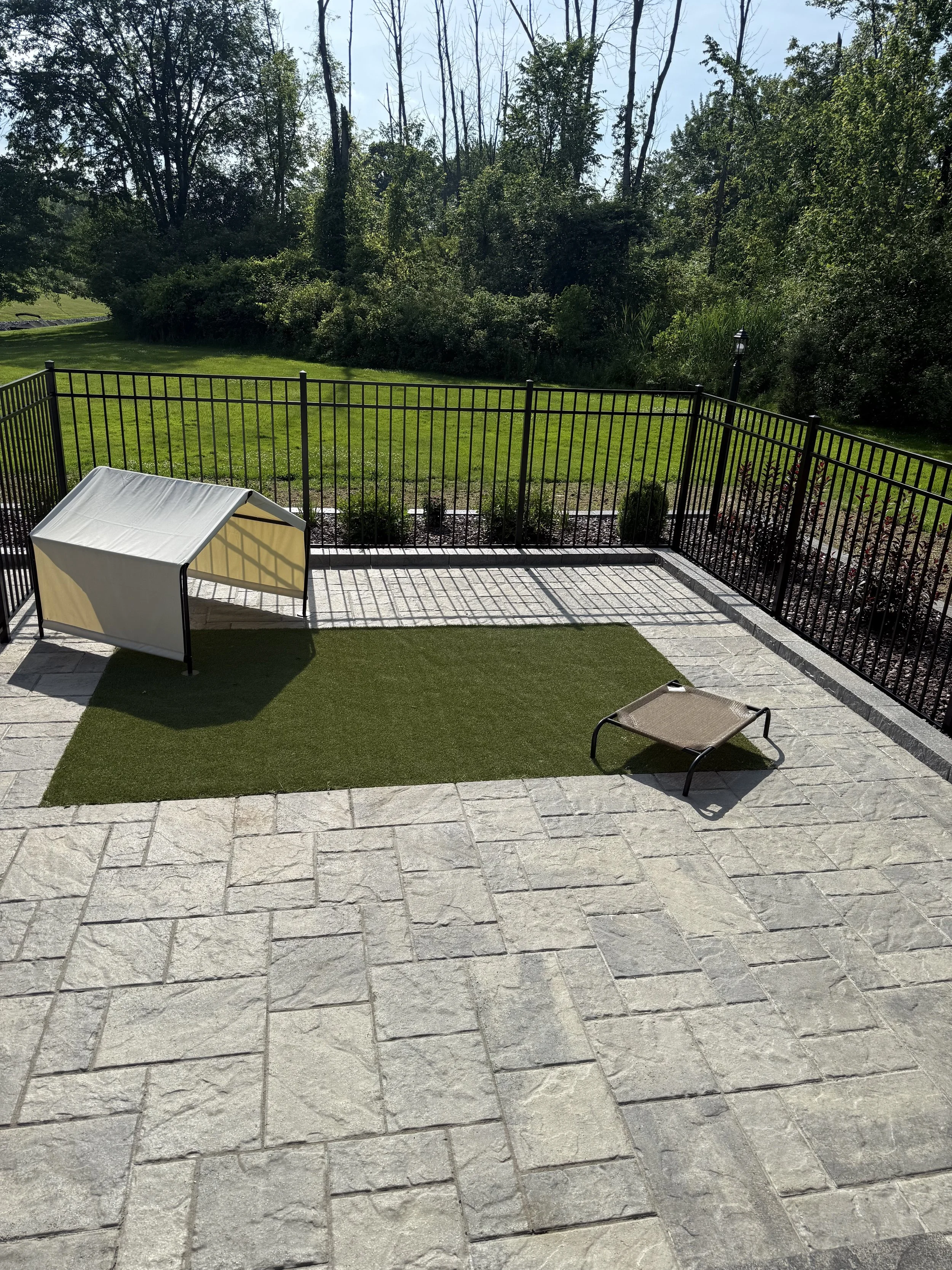 A backyard patio with a small shaded doghouse, a lounge chair, and a patch of artificial grass, surrounded by a black metal fence, with a grassy yard and trees in the background.