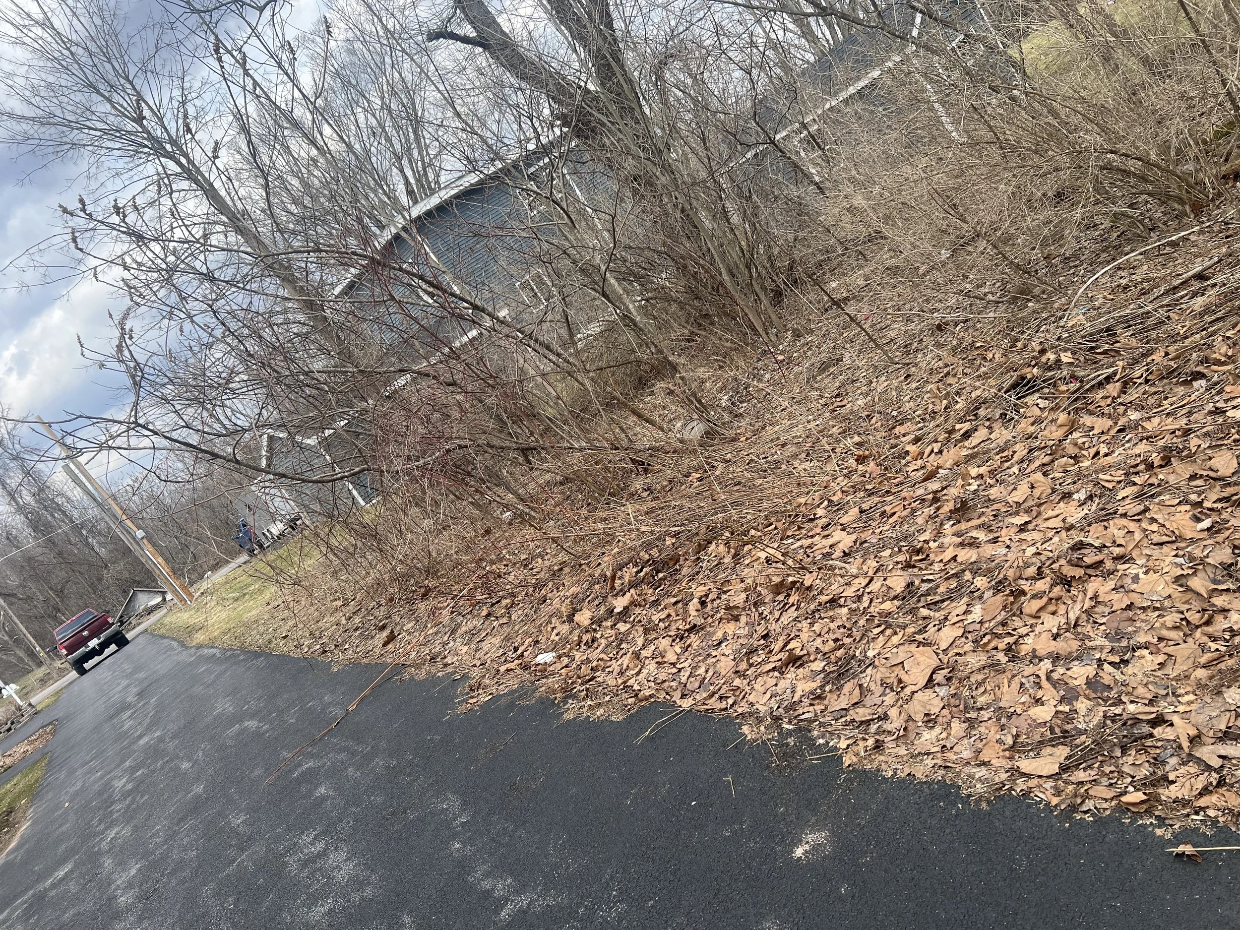 IMG_1261.jpeg