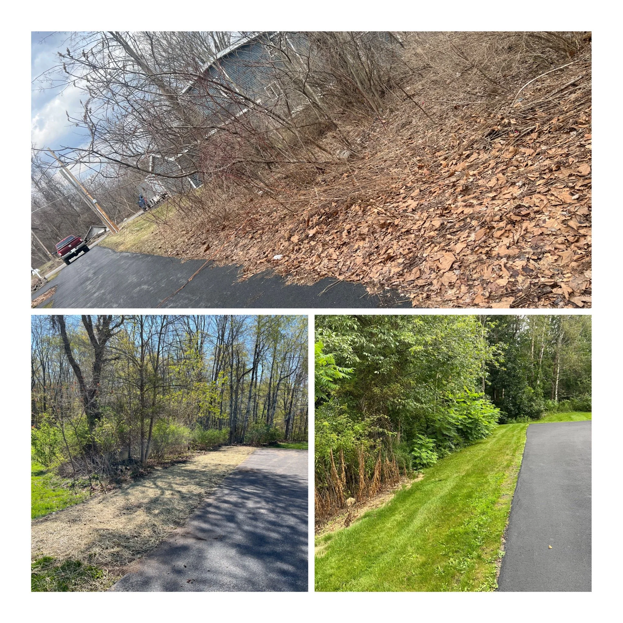 Collage of three images showing outdoor scenes: top image with leafless bushes and a paved road, middle image with a paved path in a wooded area with budding trees, bottom image with a grassy lawn beside a paved road surrounded by green bushes and trees.