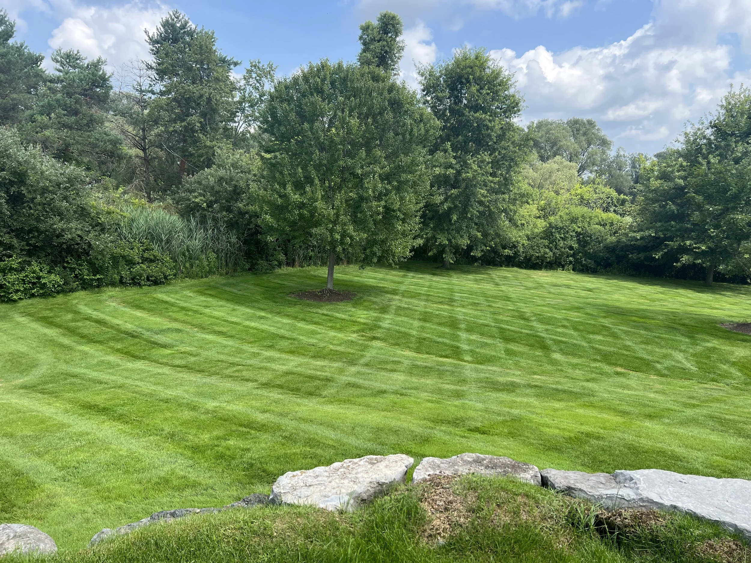 A neatly mowed green lawn with striped patterns, surrounded by trees and bushes under a partly cloudy blue sky.