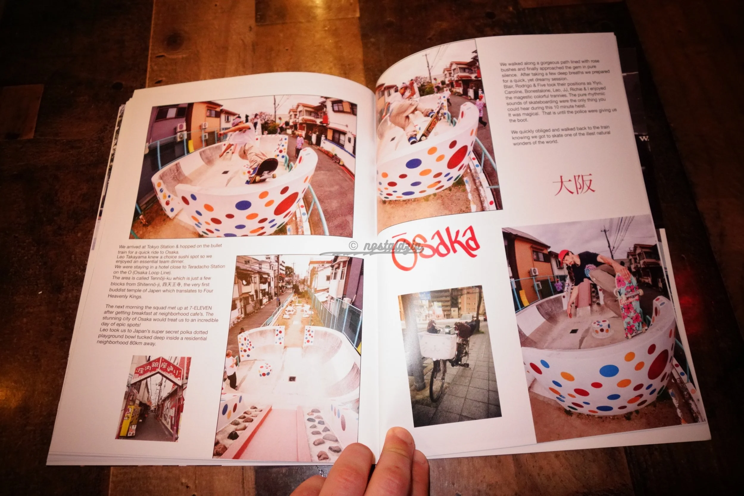 nostaldzia Barto March 14 2026 Sakura Sake Tour Arizona Iced Tea Brooklyn New York United States of America-42.jpg