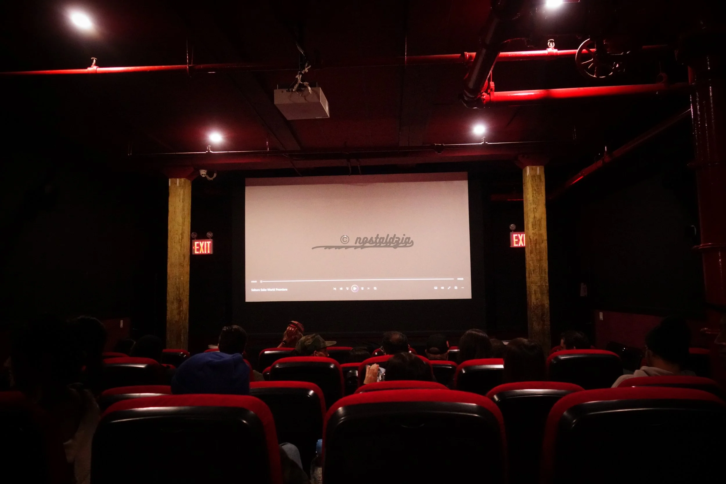 nostaldzia Barto March 14 2026 Sakura Sake Tour Arizona Iced Tea Brooklyn New York United States of America-50.jpg