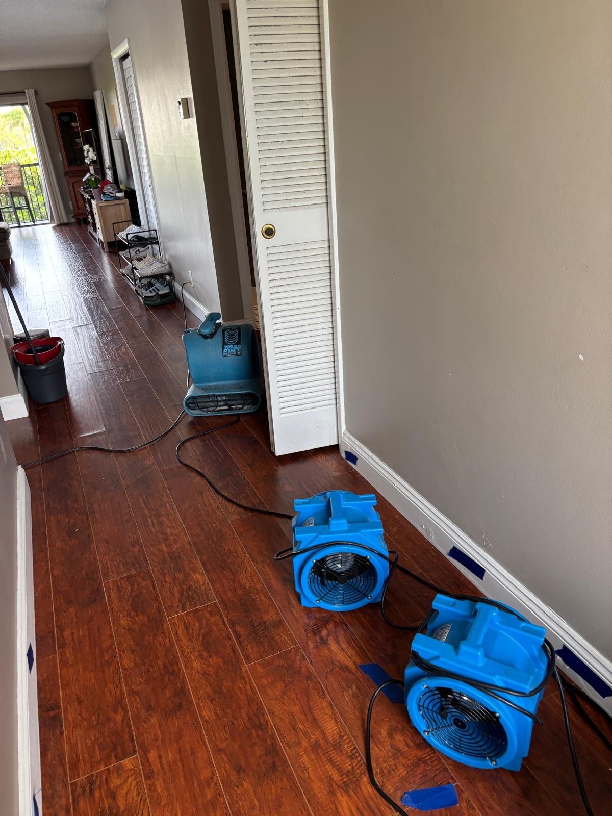 Several blue portable air movers and a blue humidifier placed on a hardwood floor in a room with beige walls, a black and red bucket, and a black cord.