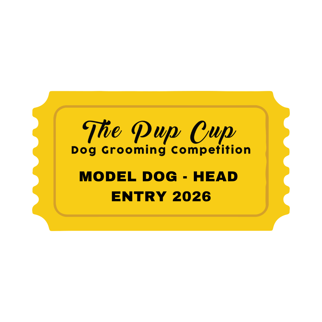 Model Dog — Head Entry