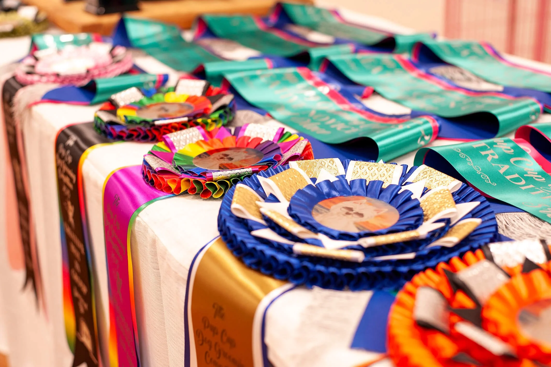 Colorful ribbons and rosettes with medals laid out on a table, likely for a dog show or competition.