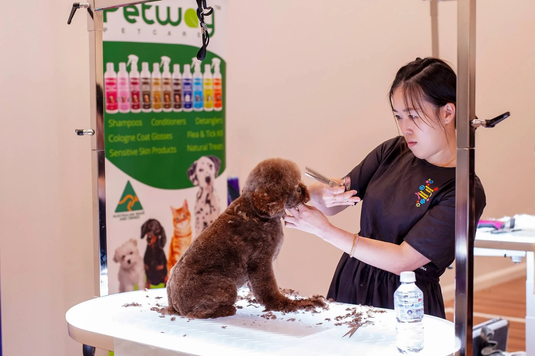 A woman grooming a small brown poodle on a grooming table at a pet grooming event or salon, with a grooming poster in the background displaying pet care products.