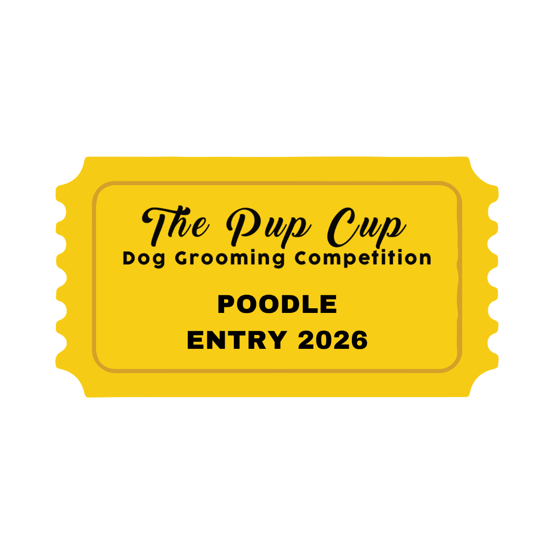 Poodle — Entry ⭐️