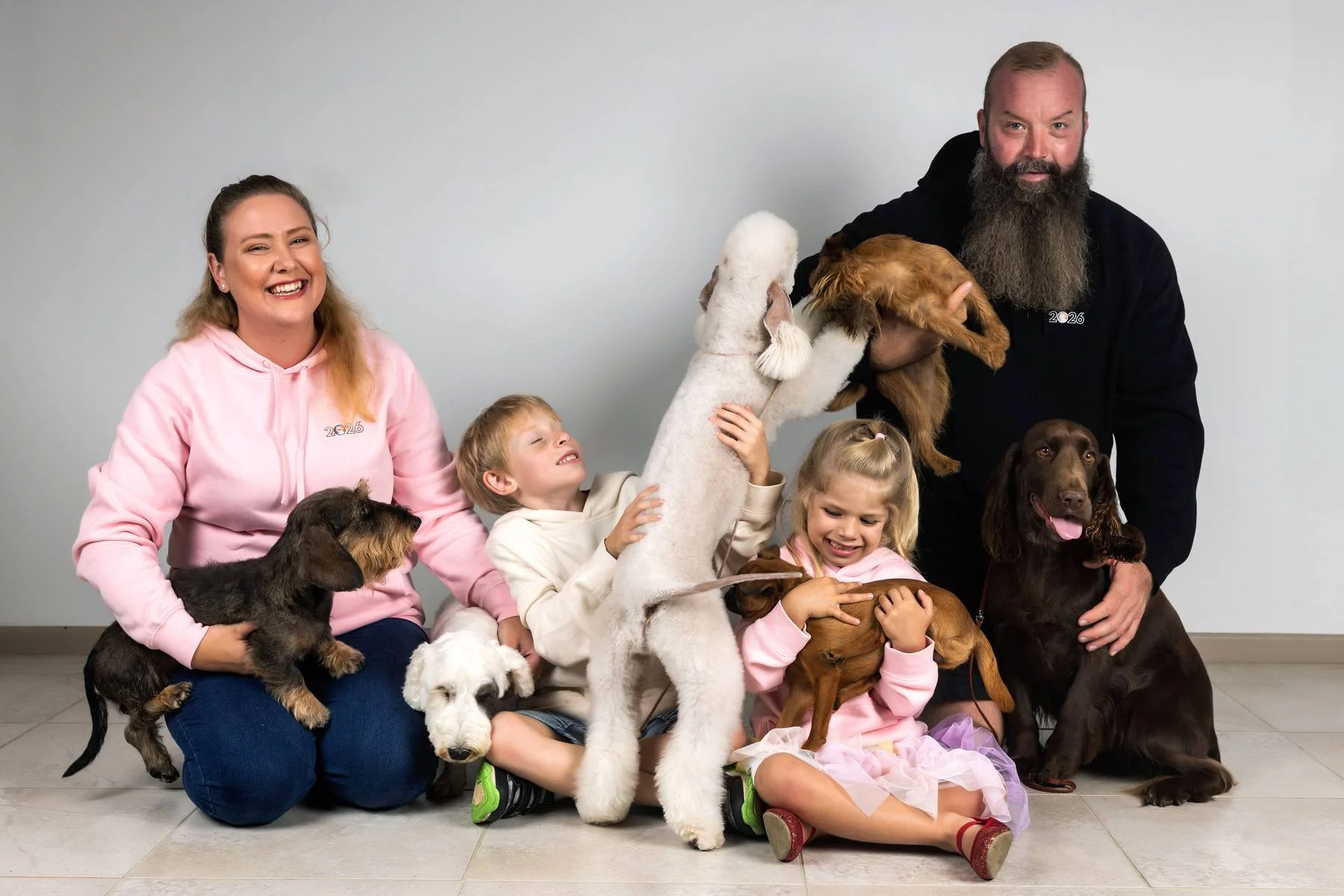 Group of five people and seven dogs posing together indoors against a plain wall, smiling and playing with the dogs.