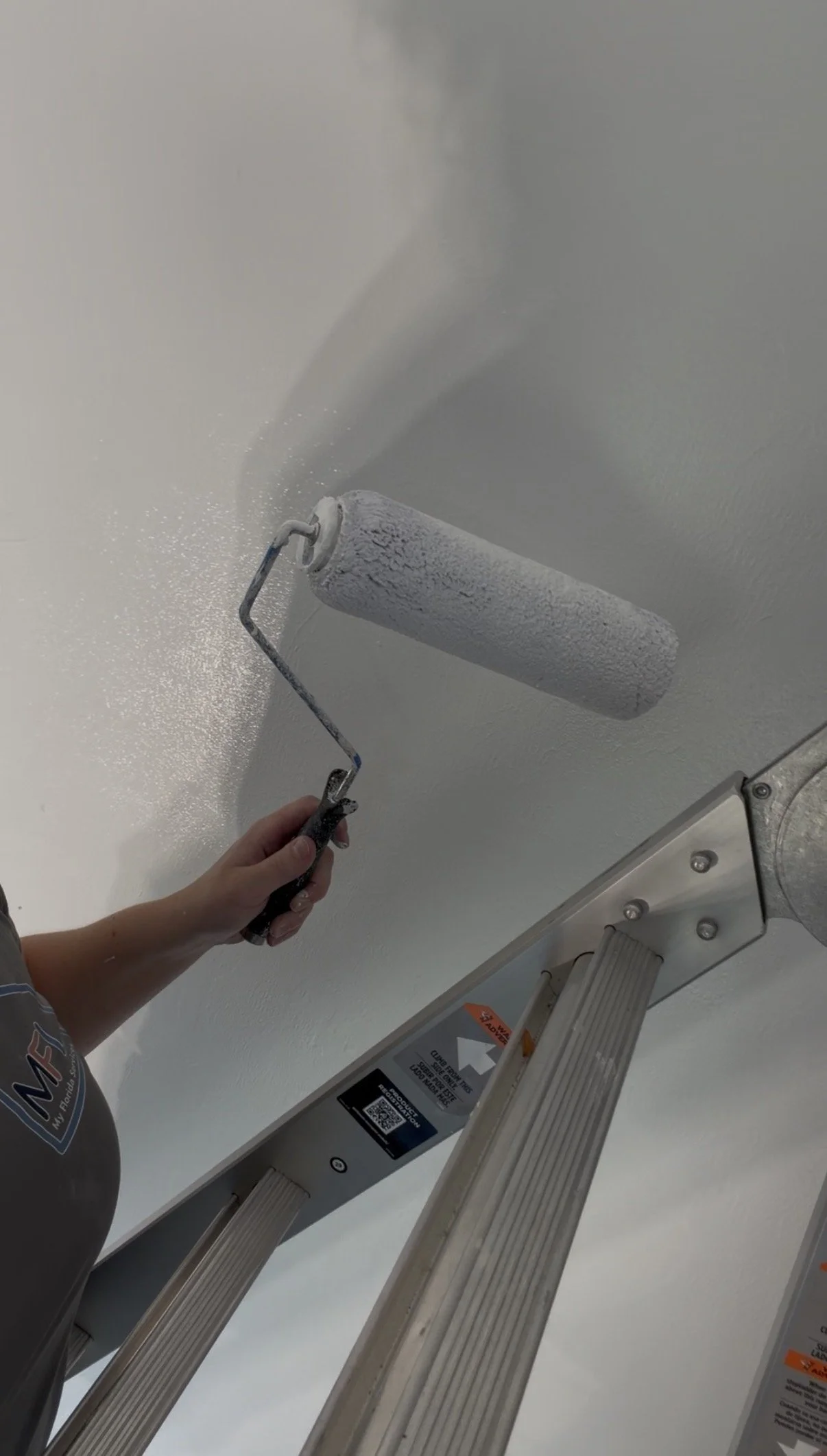 Interior and exterior painting
