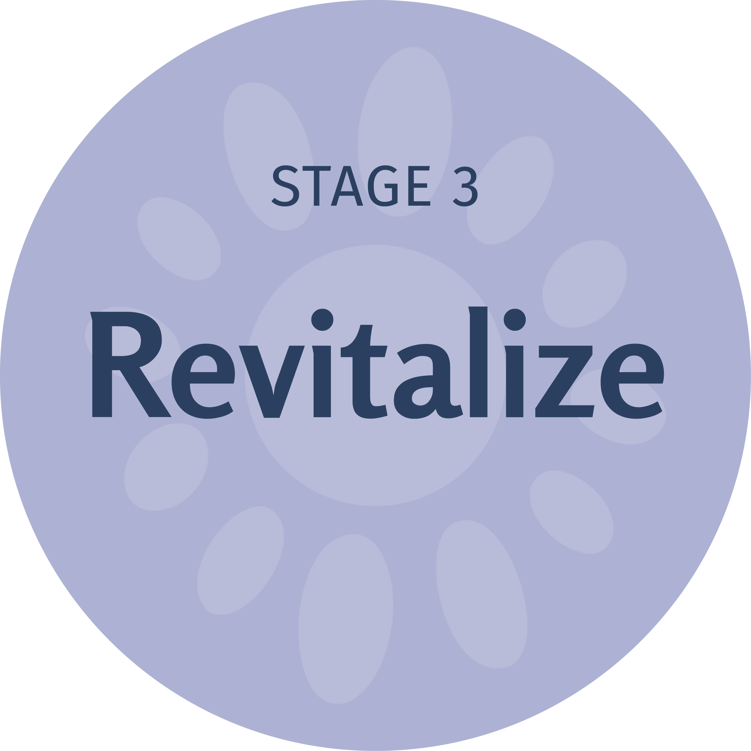 A circular diagram labeled 'Stage 3' with the text 'Revitize' visible, featuring a light purple background with circular pattern overlays.