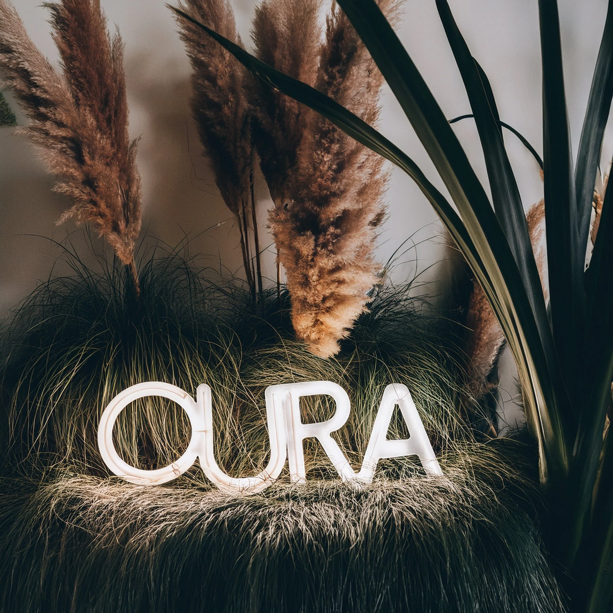 The AESTHETIC Project