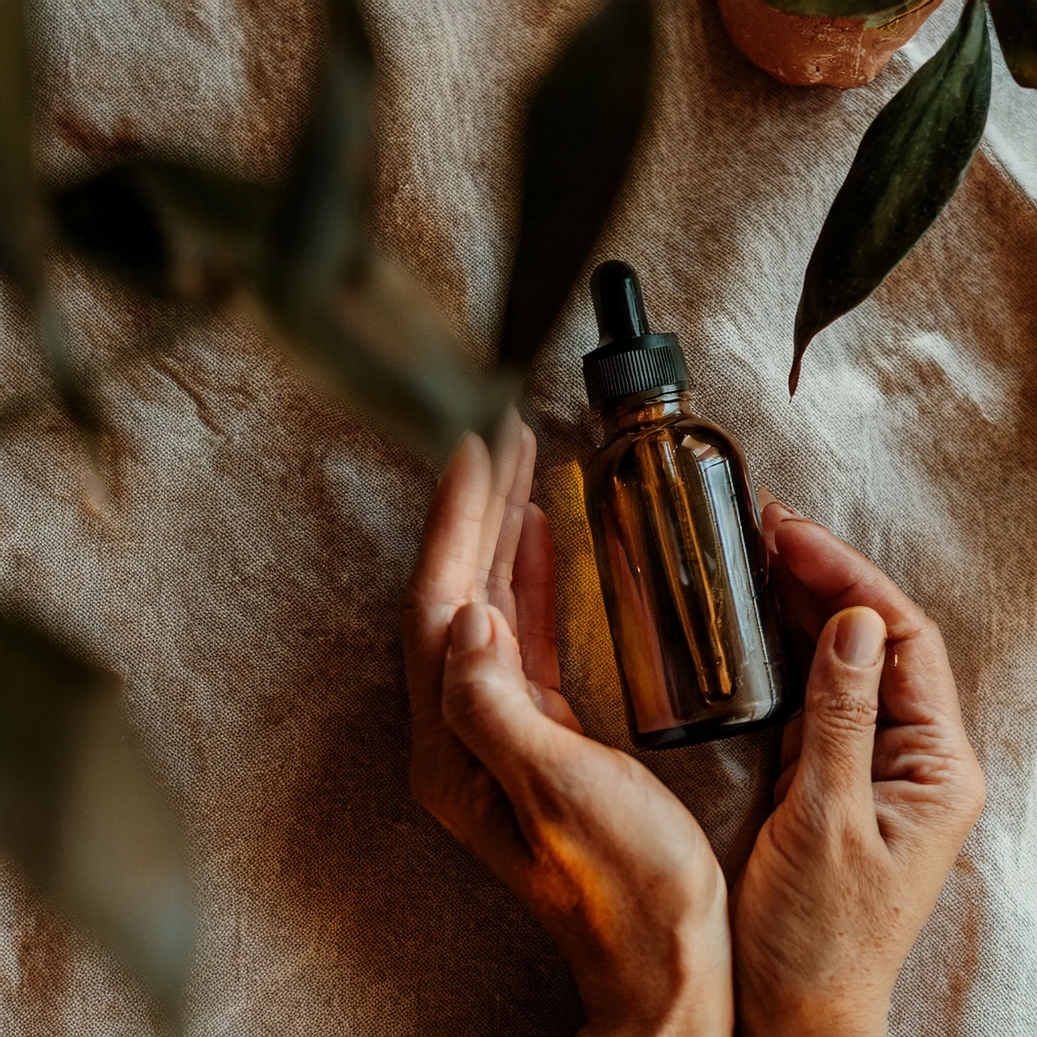 A person holding a small amber glass dropper bottle with a black cap, on a textured fabric surface with leaves and a ceramic pot in the background.
