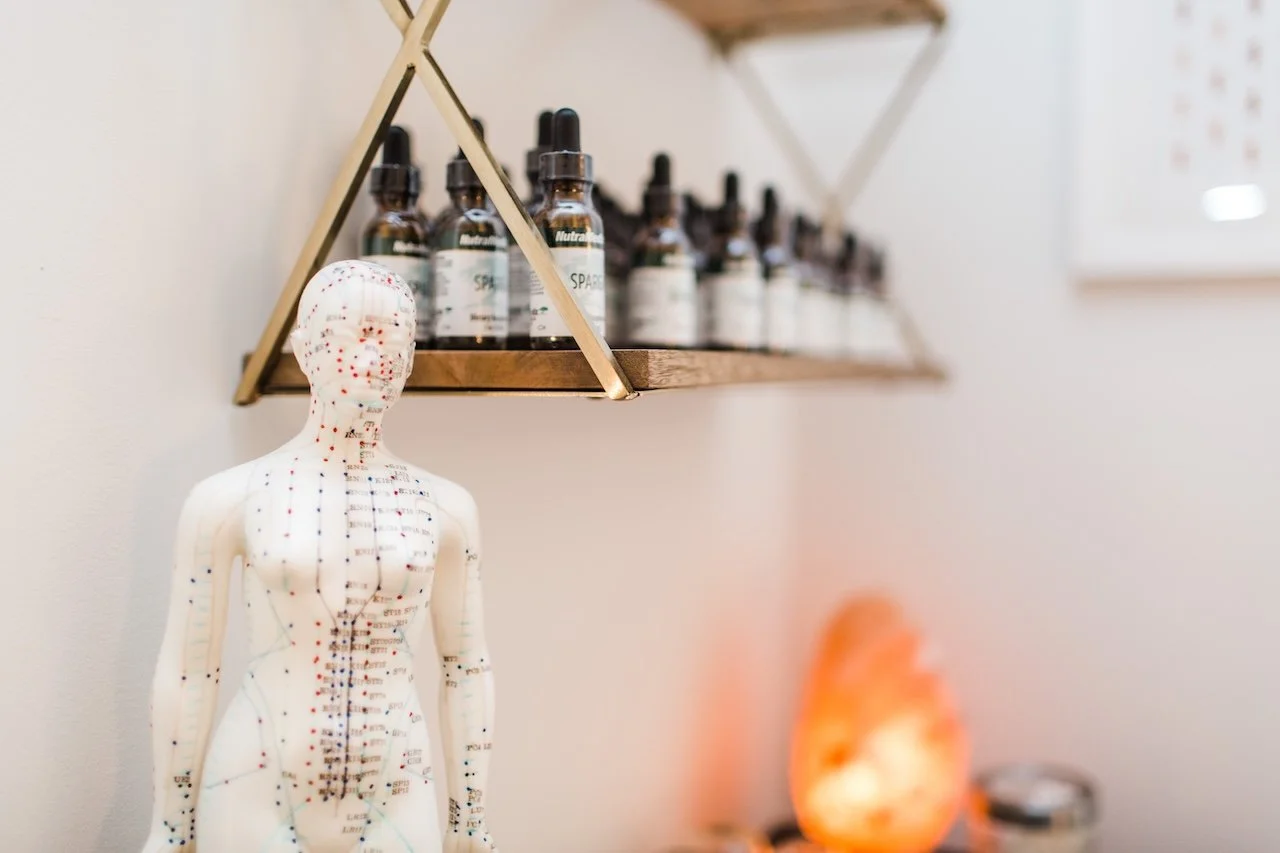 A human-shaped acupuncture model with red dots and lines on its body, positioned in front of a wall-mounted shelf holding small bottles of essential oils or tinctures.