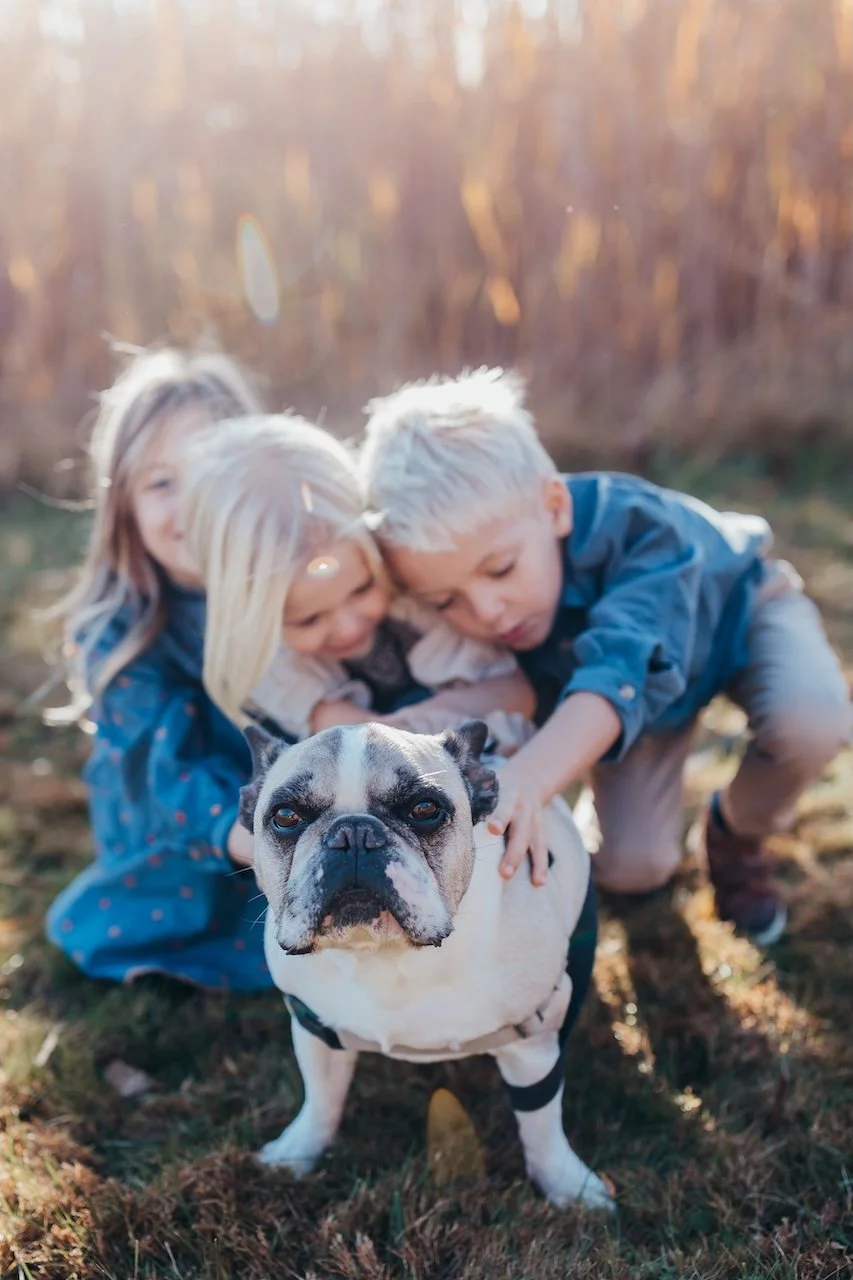 Three children playing outdoors with a bulldog puppy on grass during sunset.